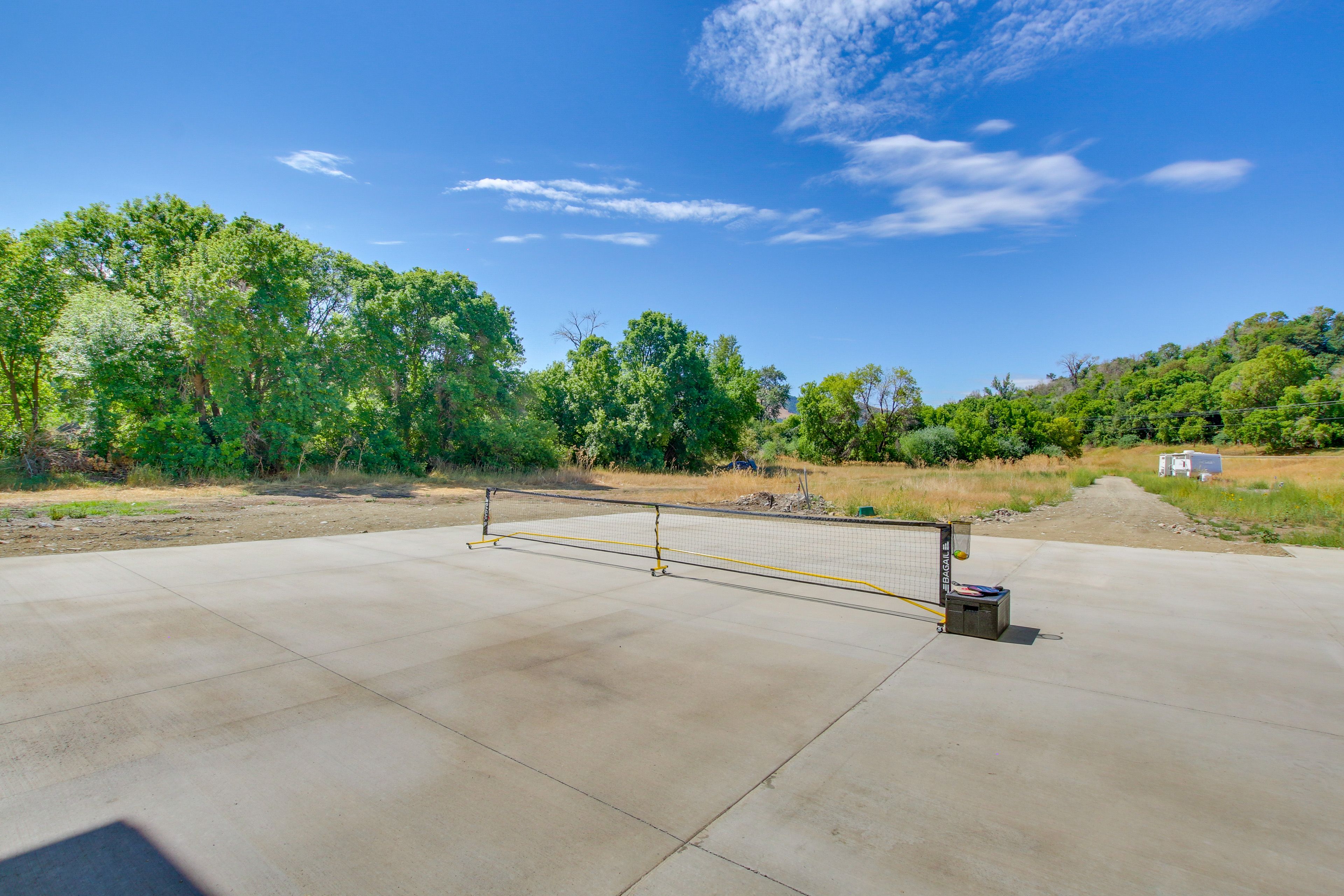 Driveway | Pickleball Net