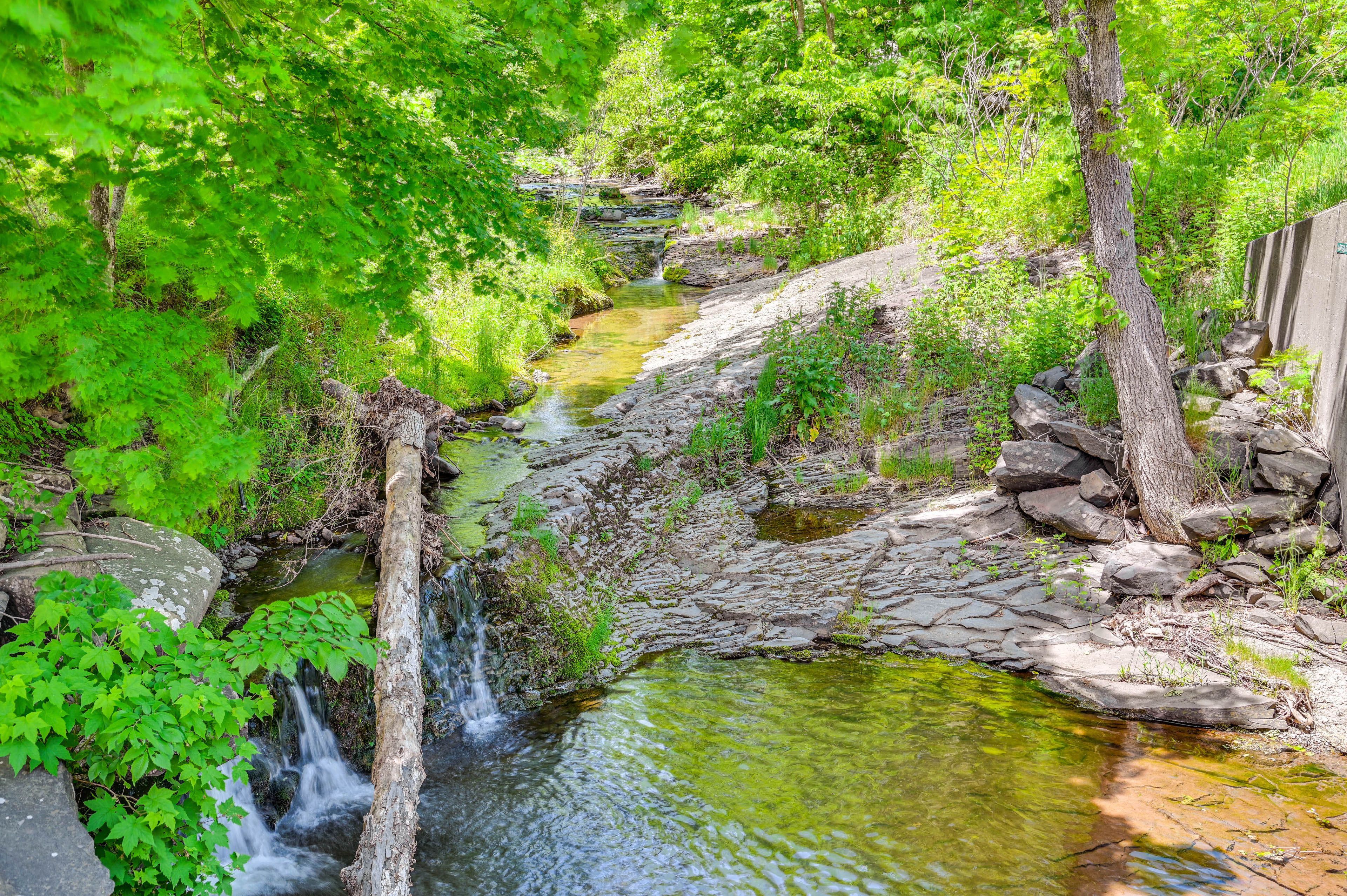 Creek Nearby
