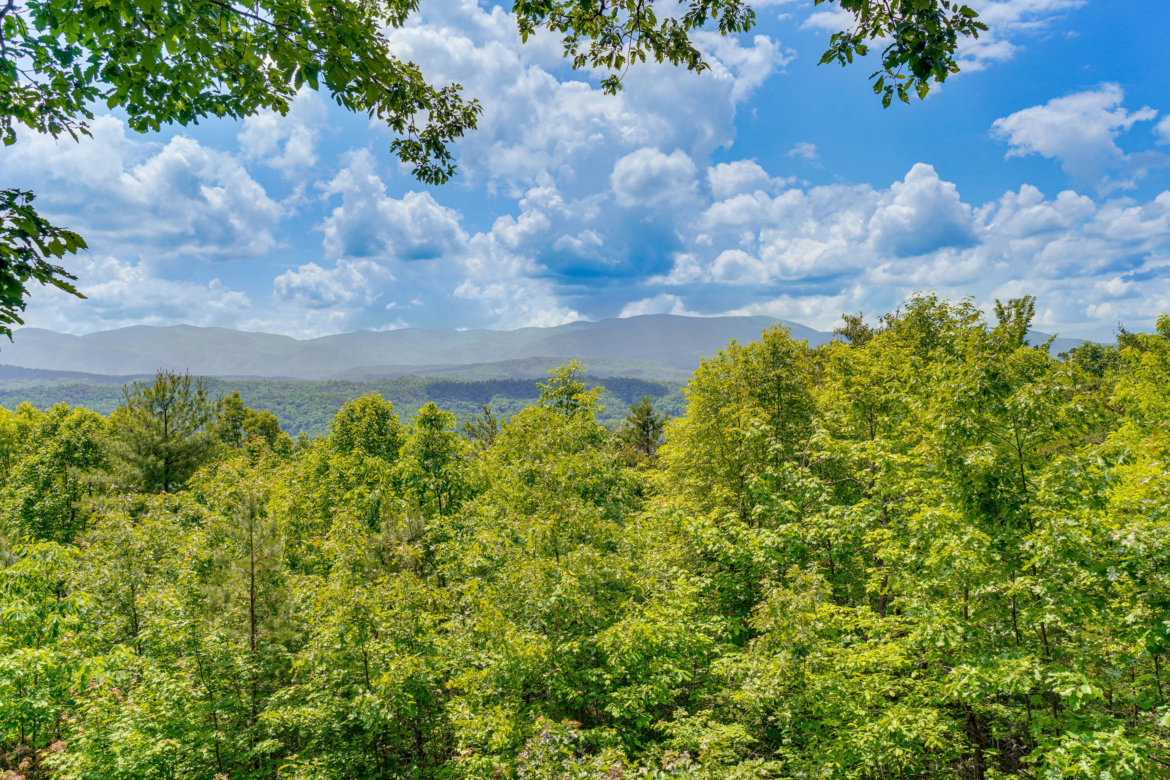Mountain Views