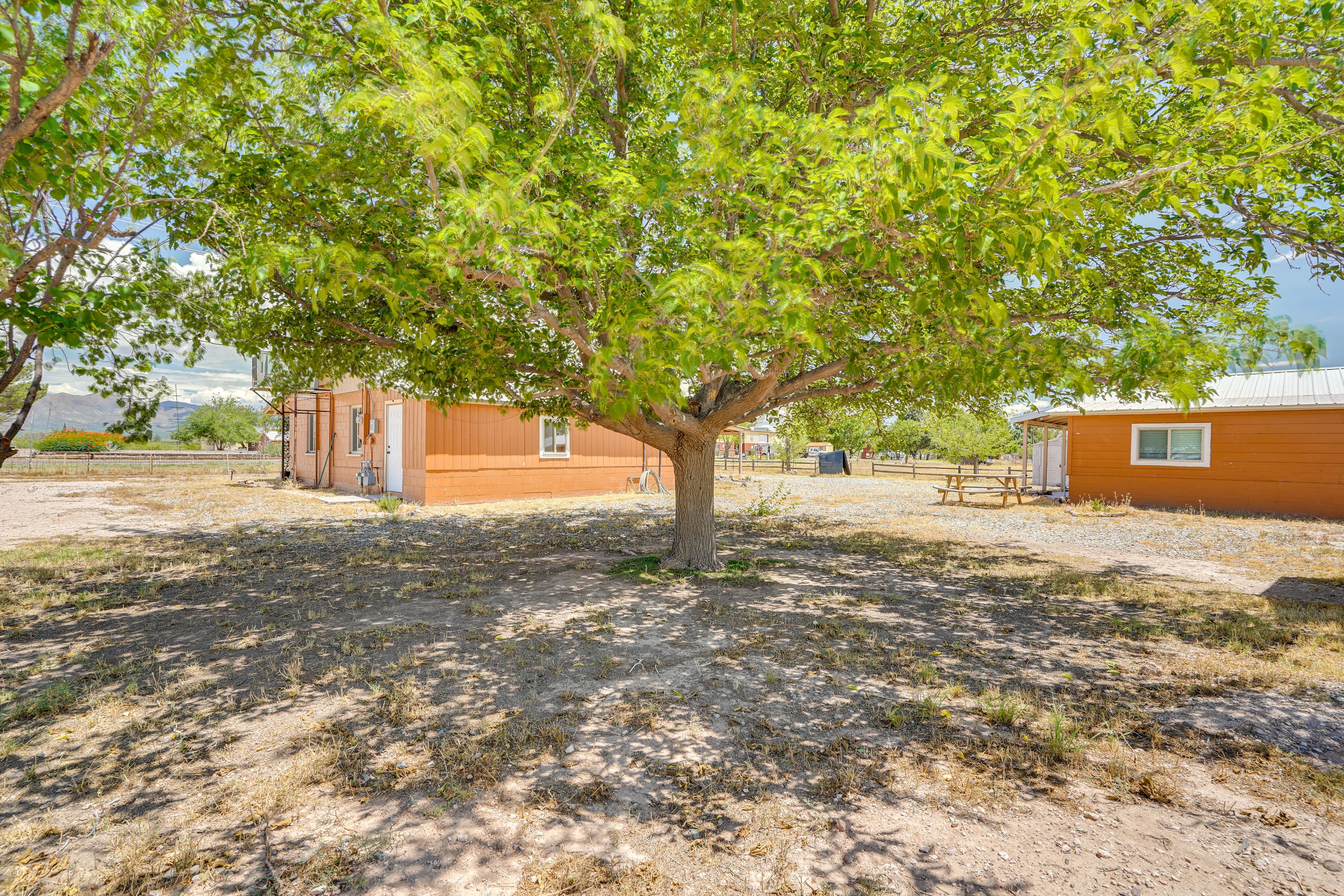 Backyard Area