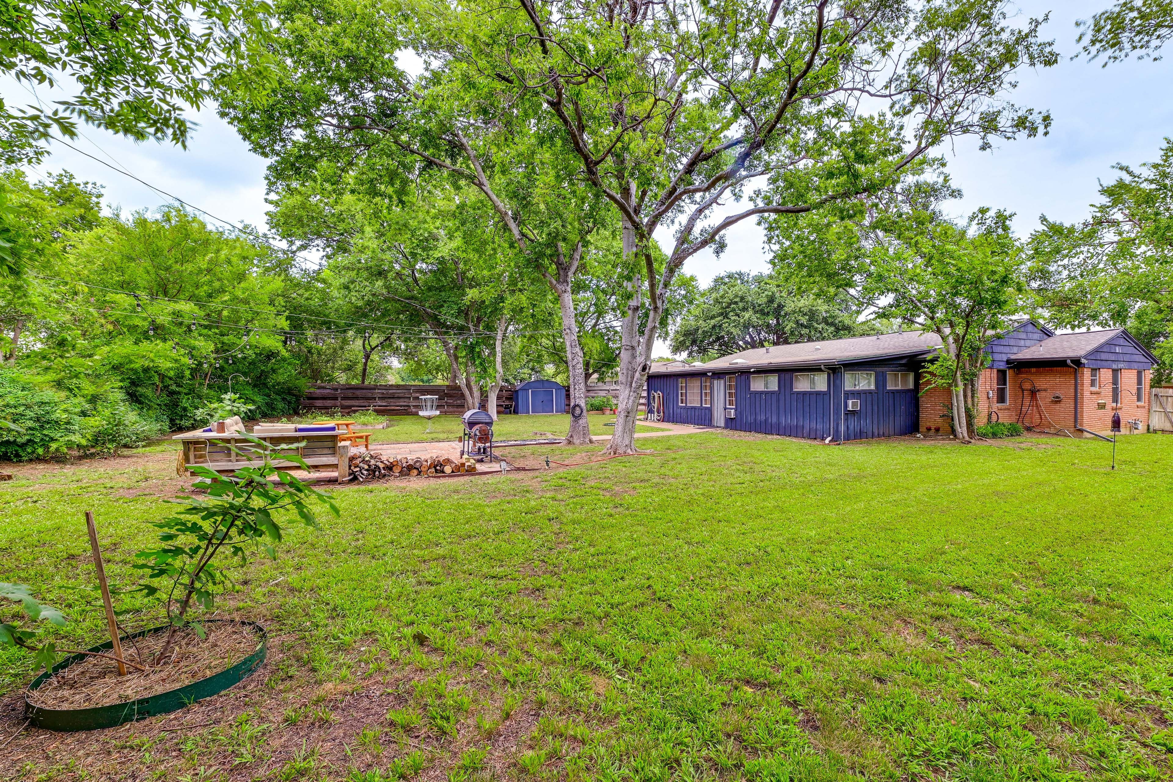 Fenced Backyard | Disc Golf Basket