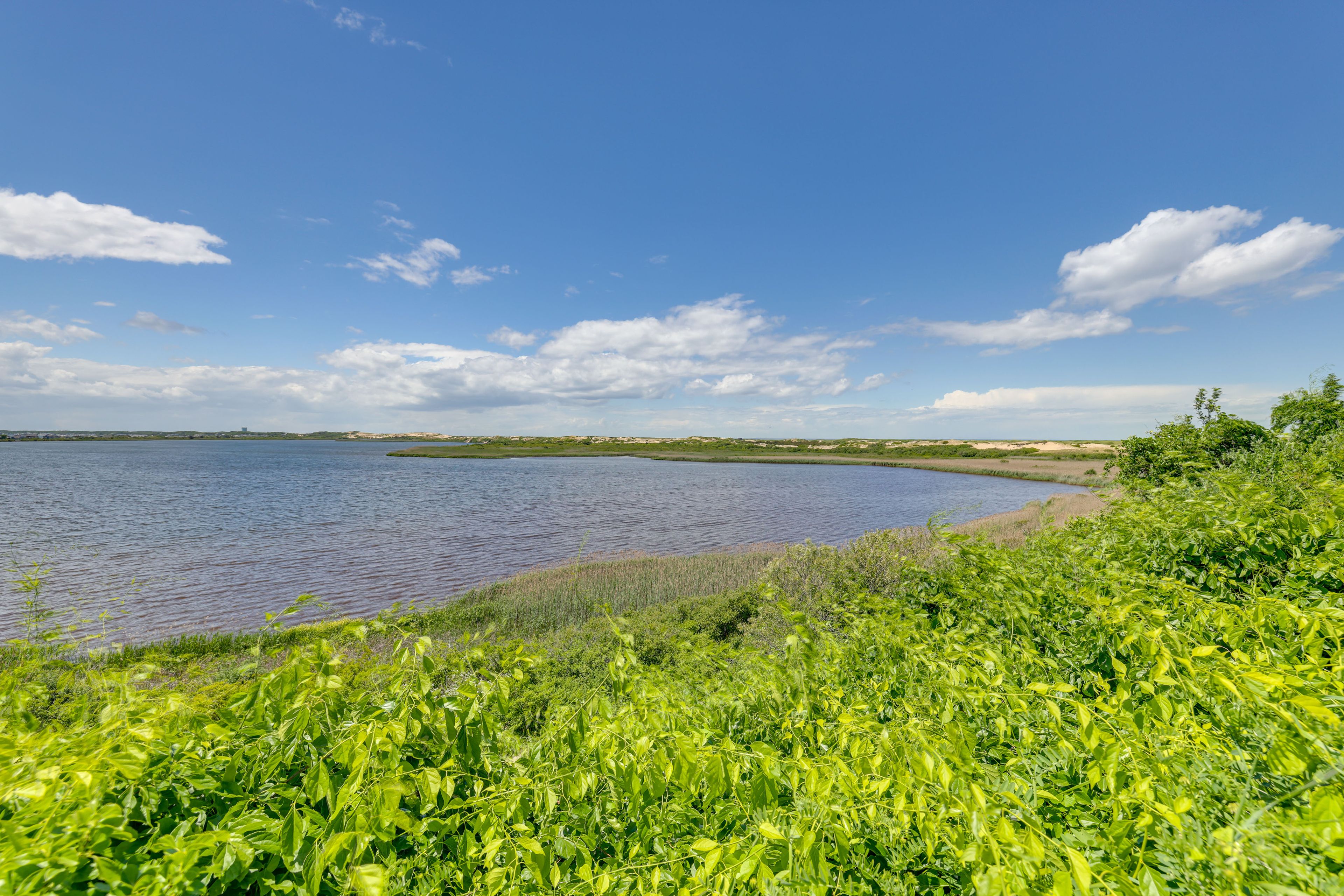 Image 29