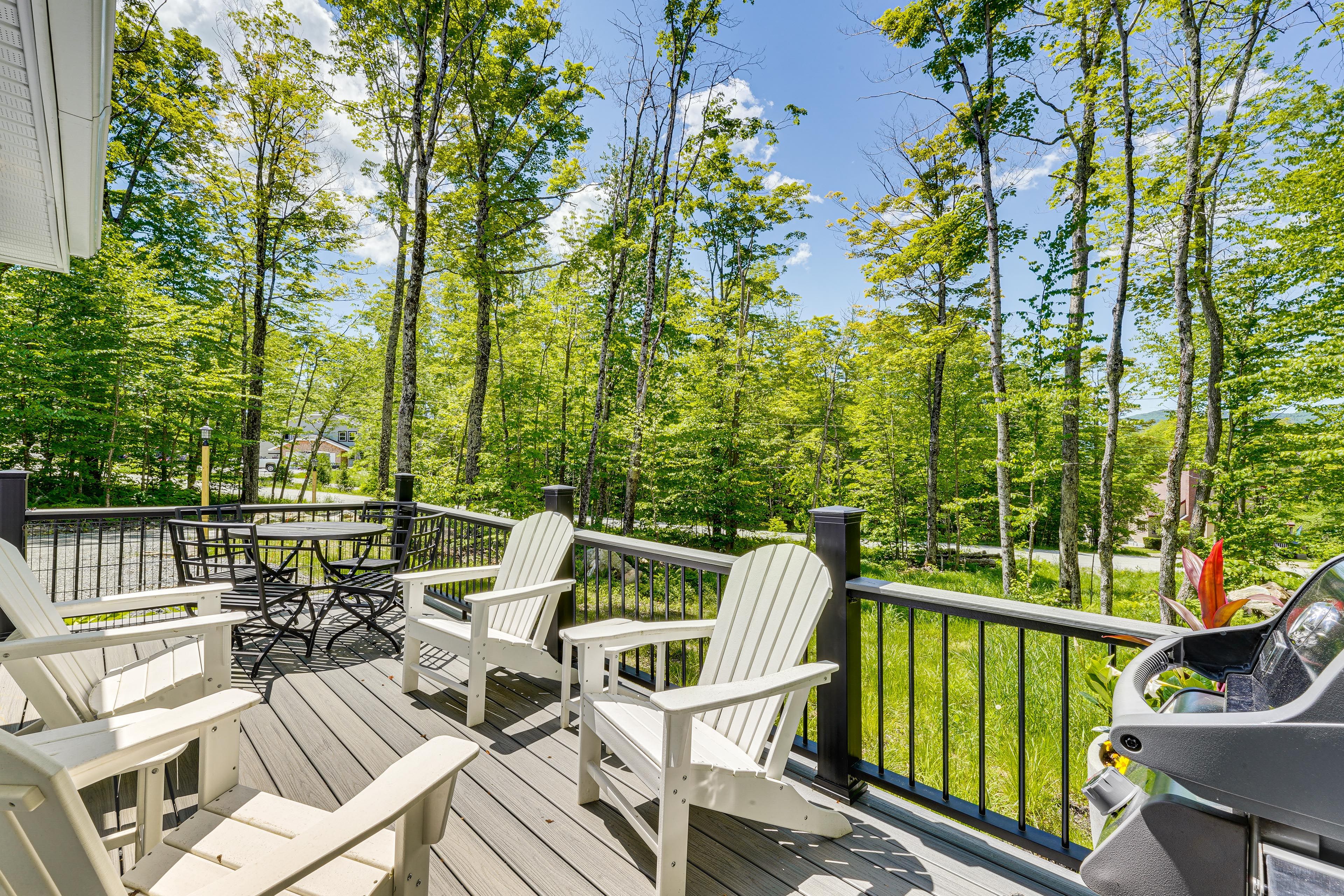 Furnished Deck | Gas Grill