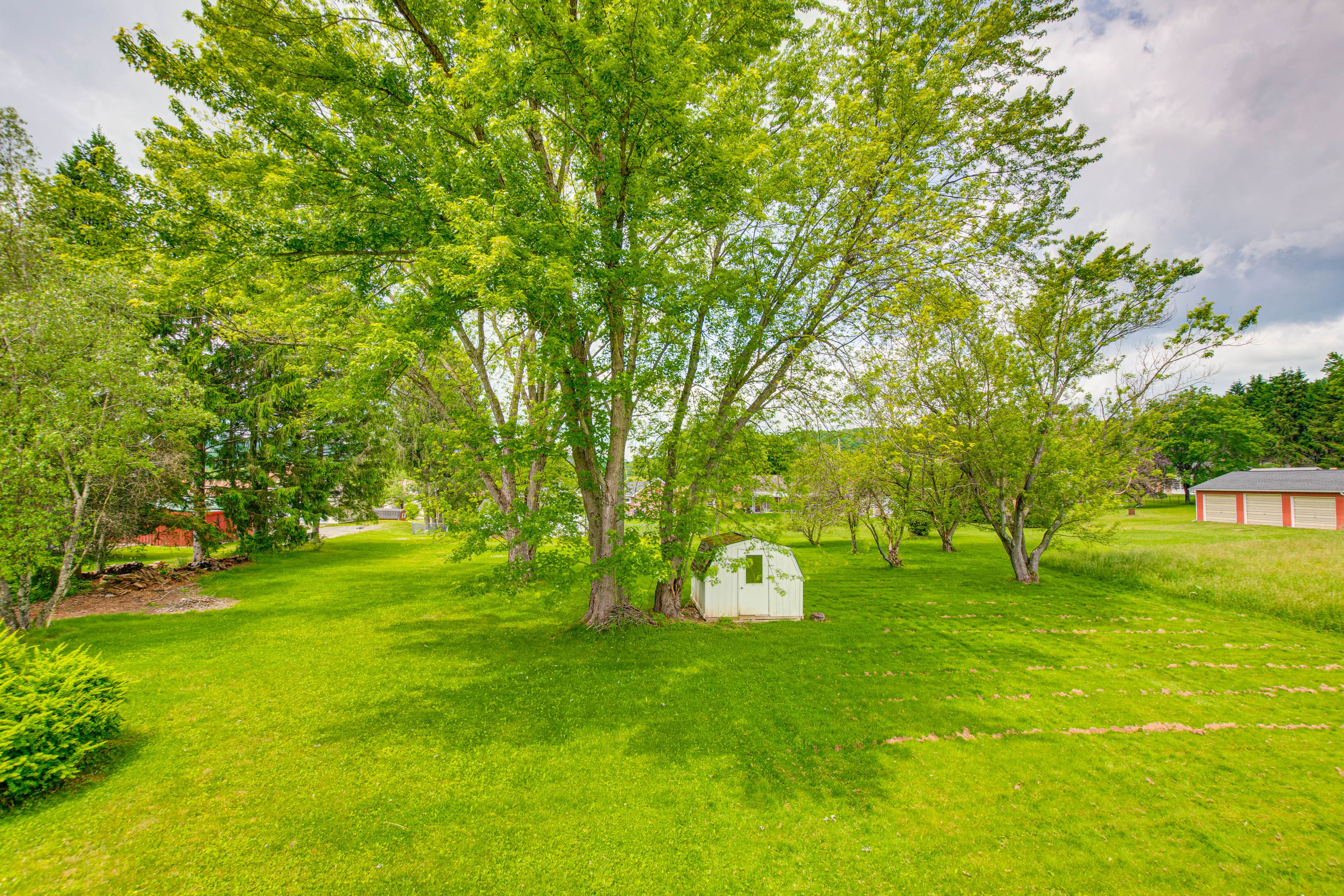 View From Deck