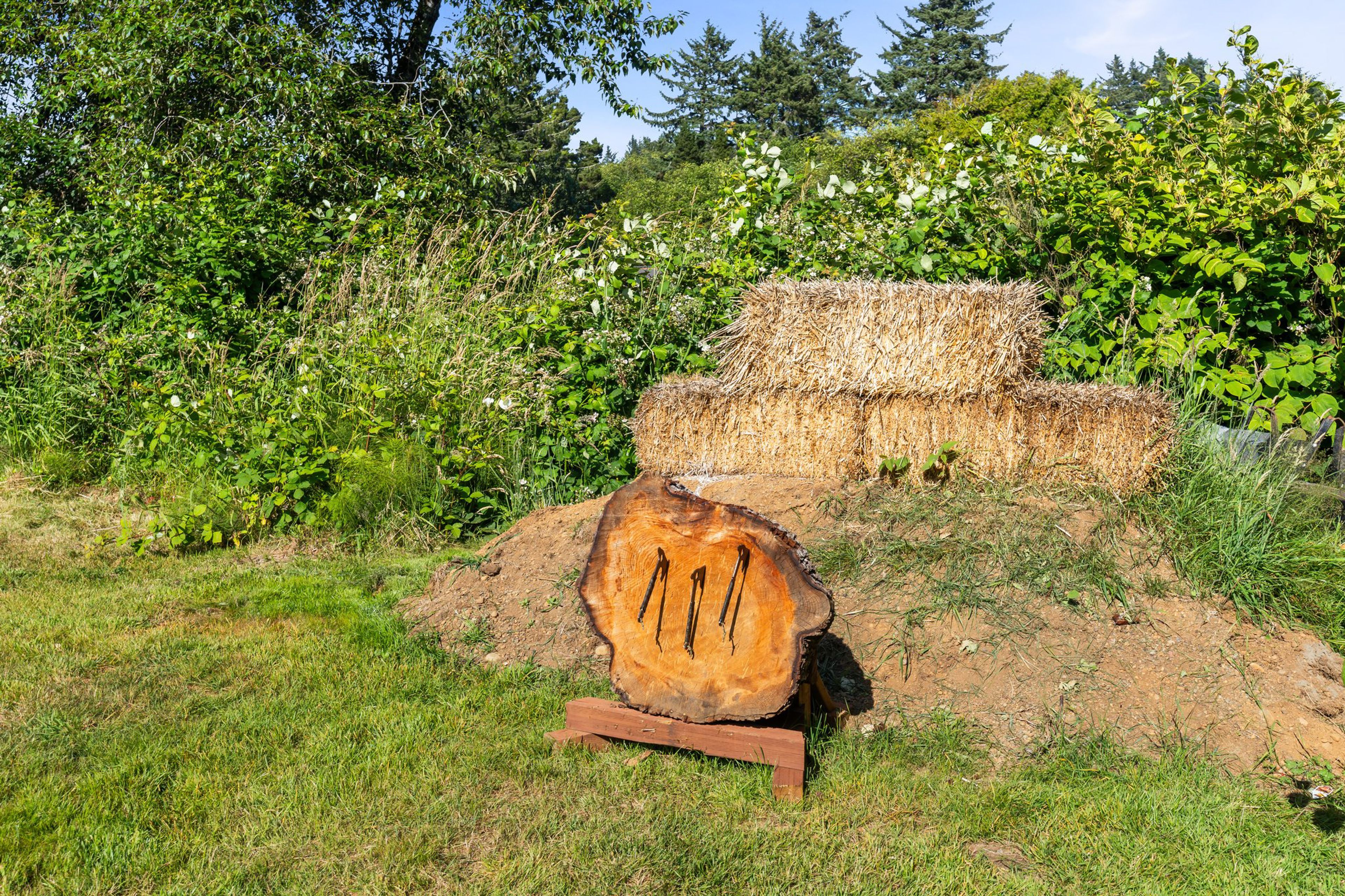 Image 23
