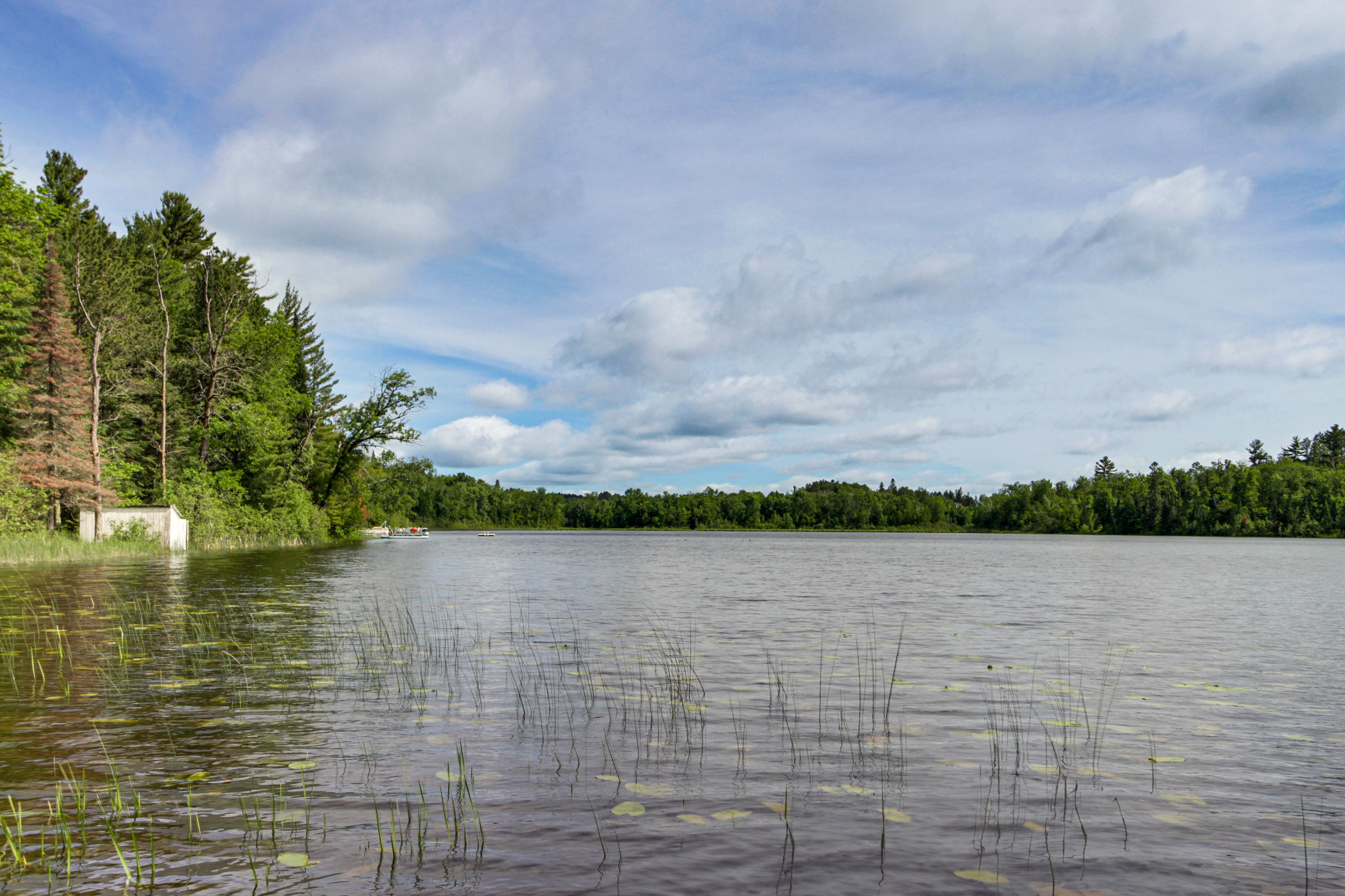 Image 39
