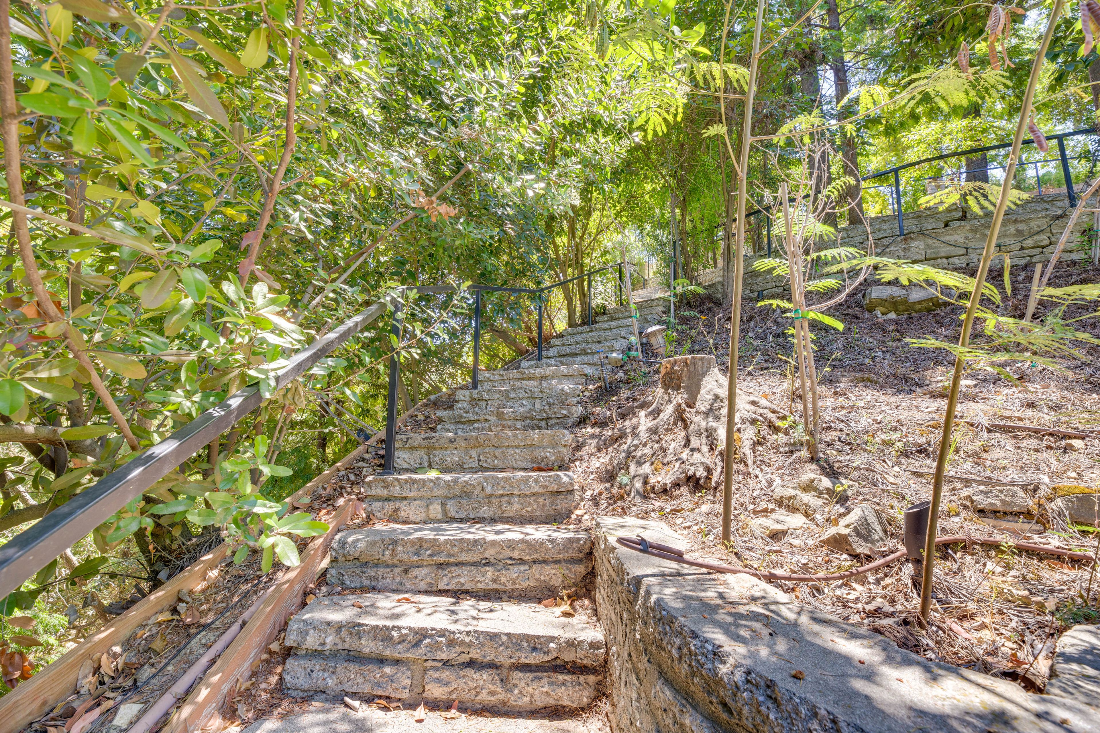 Image 15