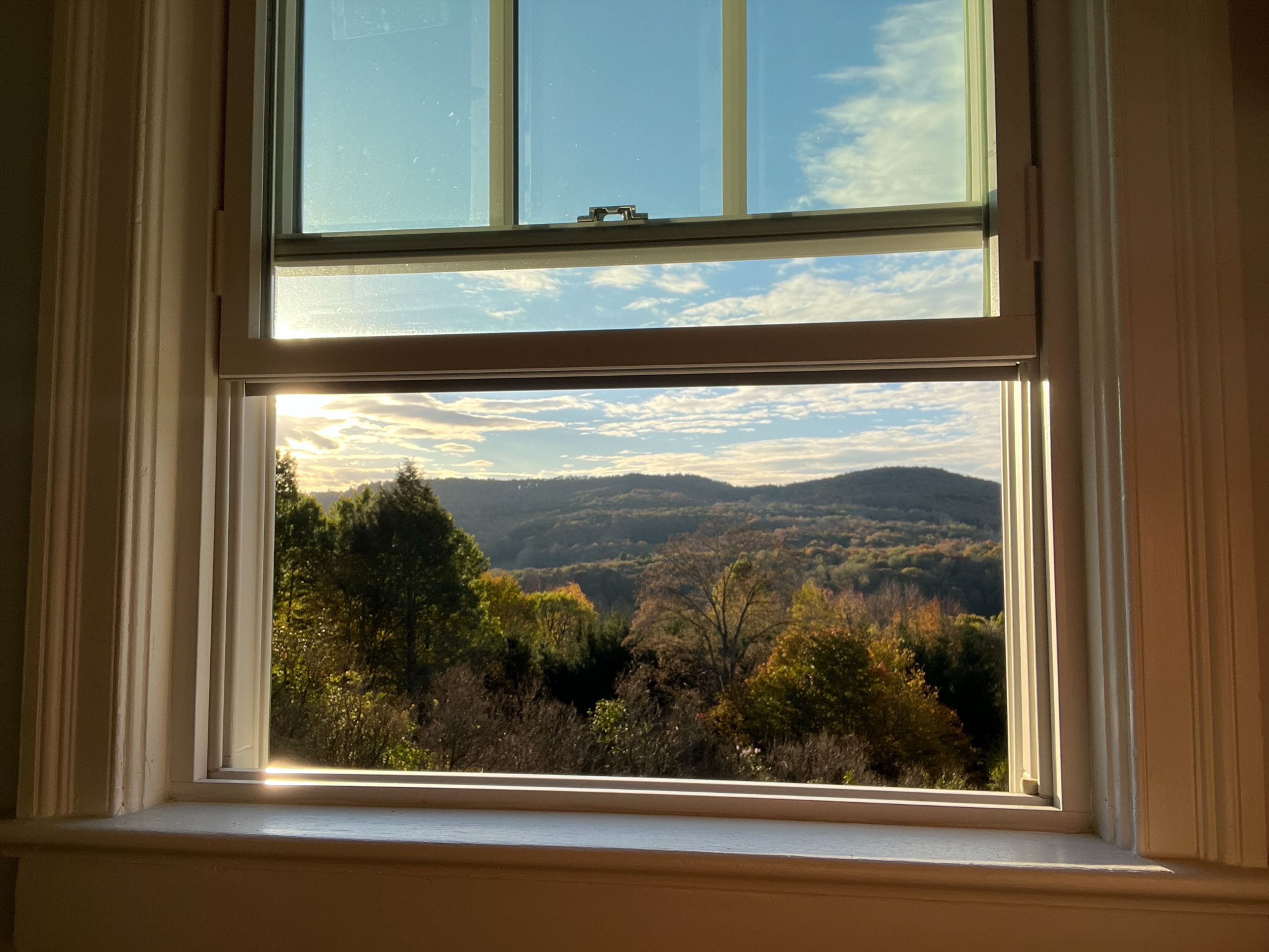 Fall Window Views