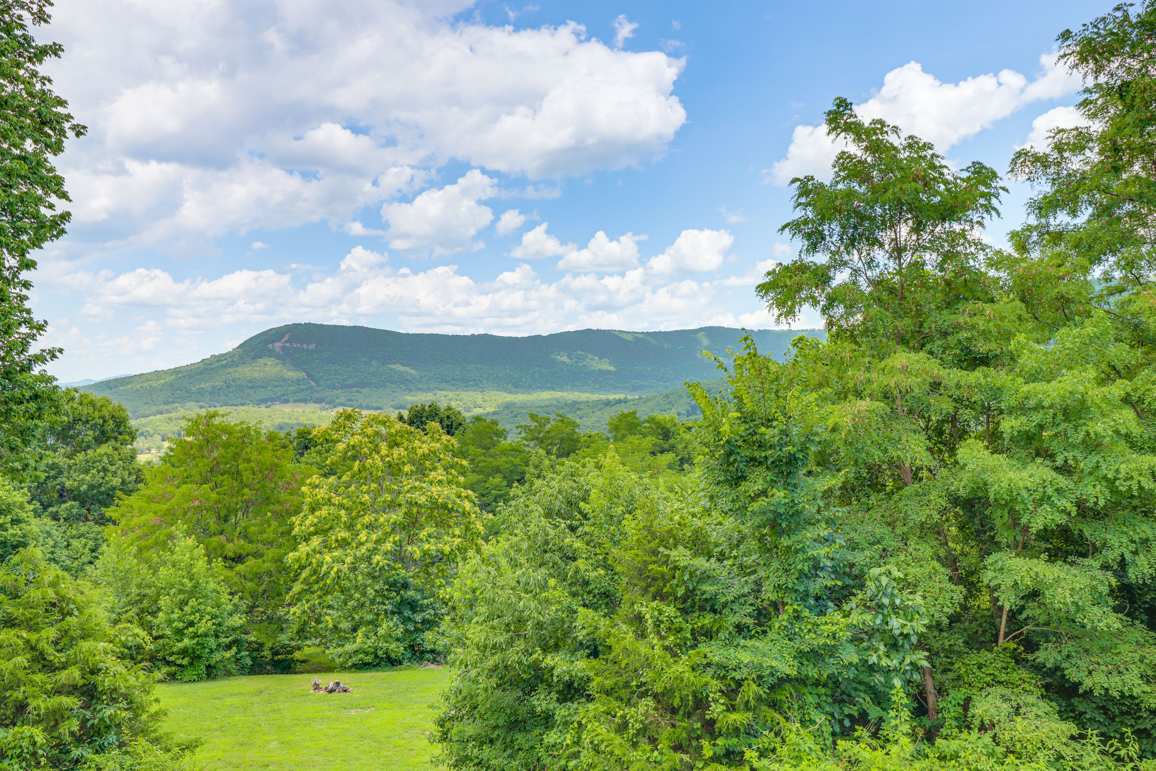Property Views