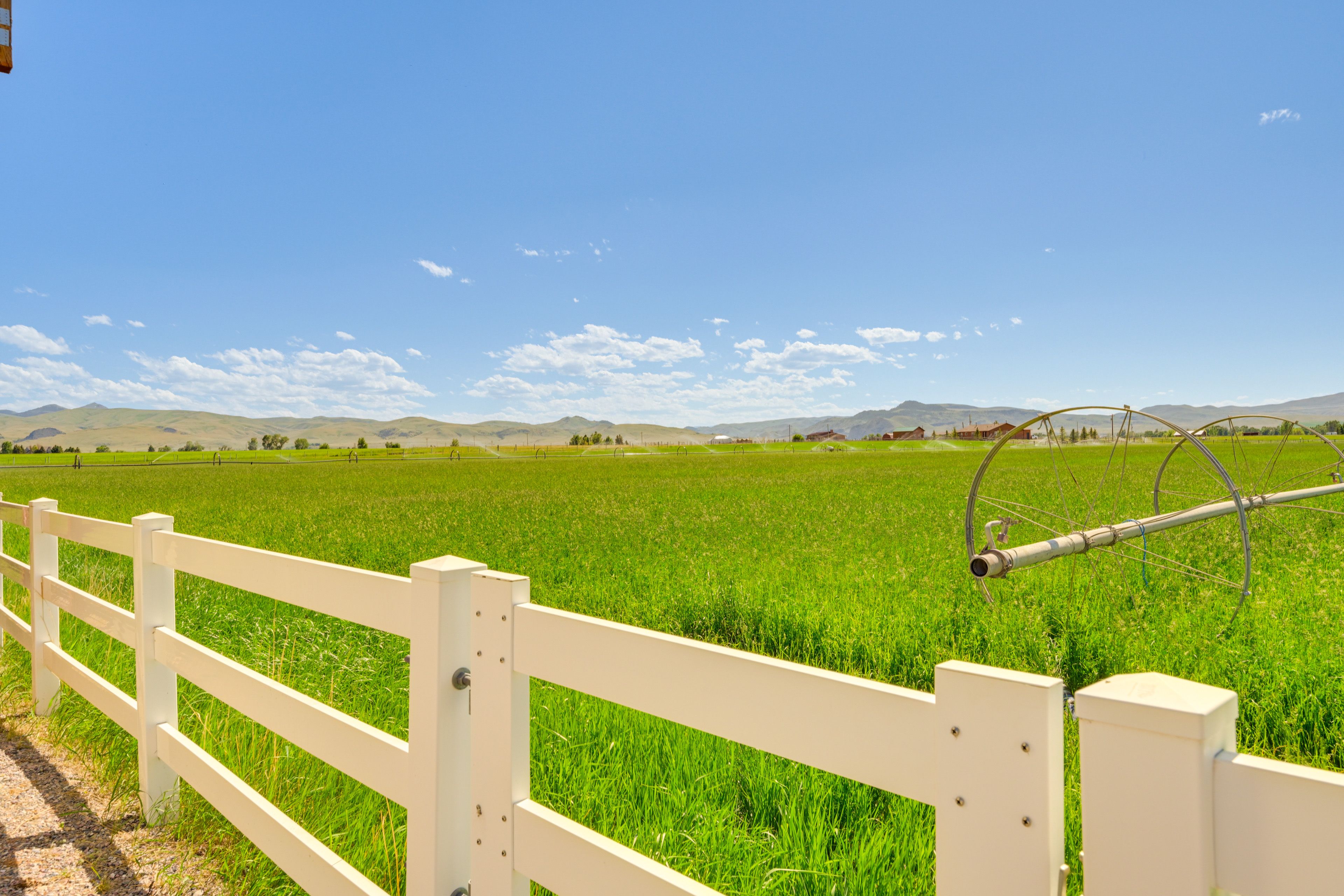 Surrounding Scenery | On-Site Horses