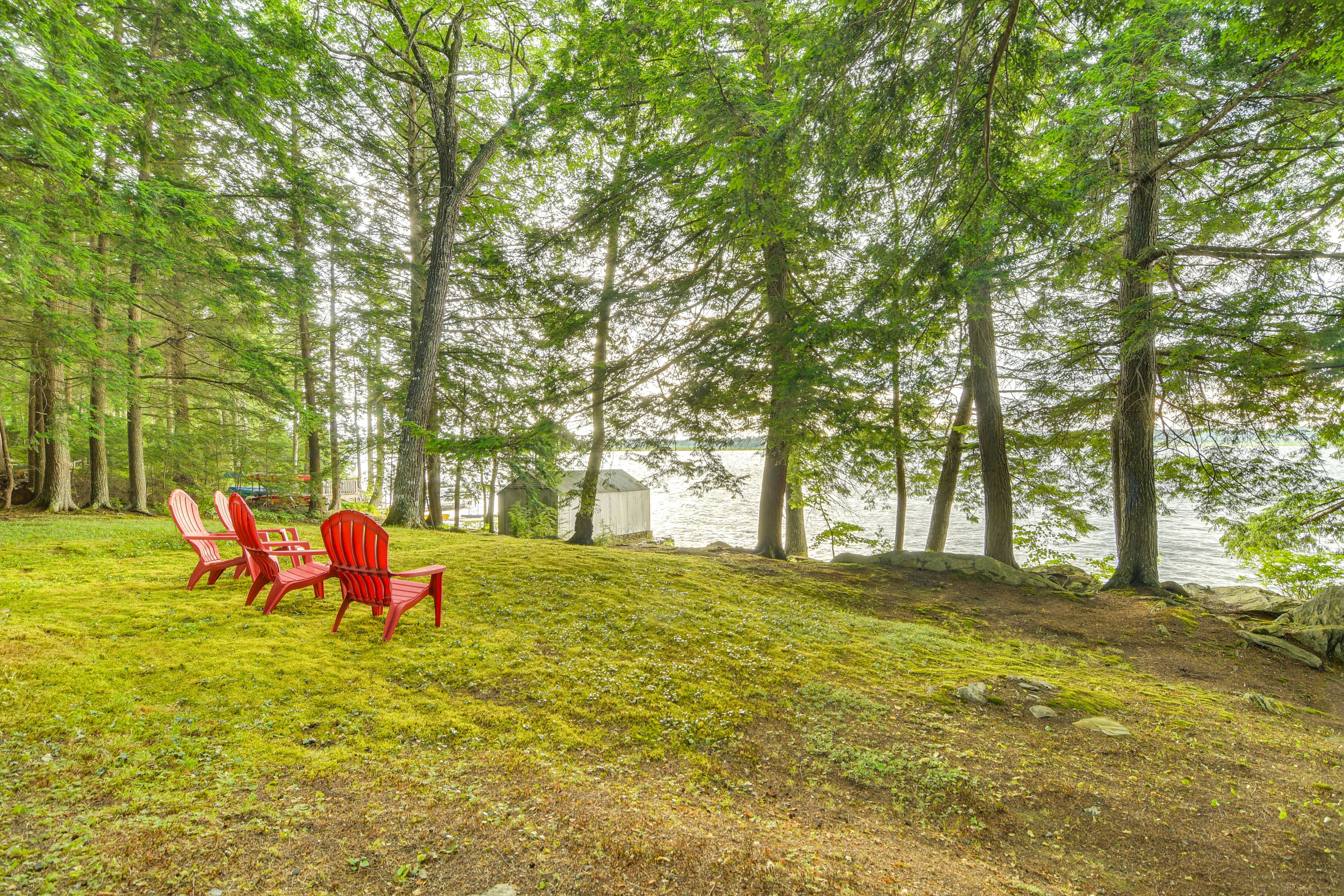 Lakefront Yard