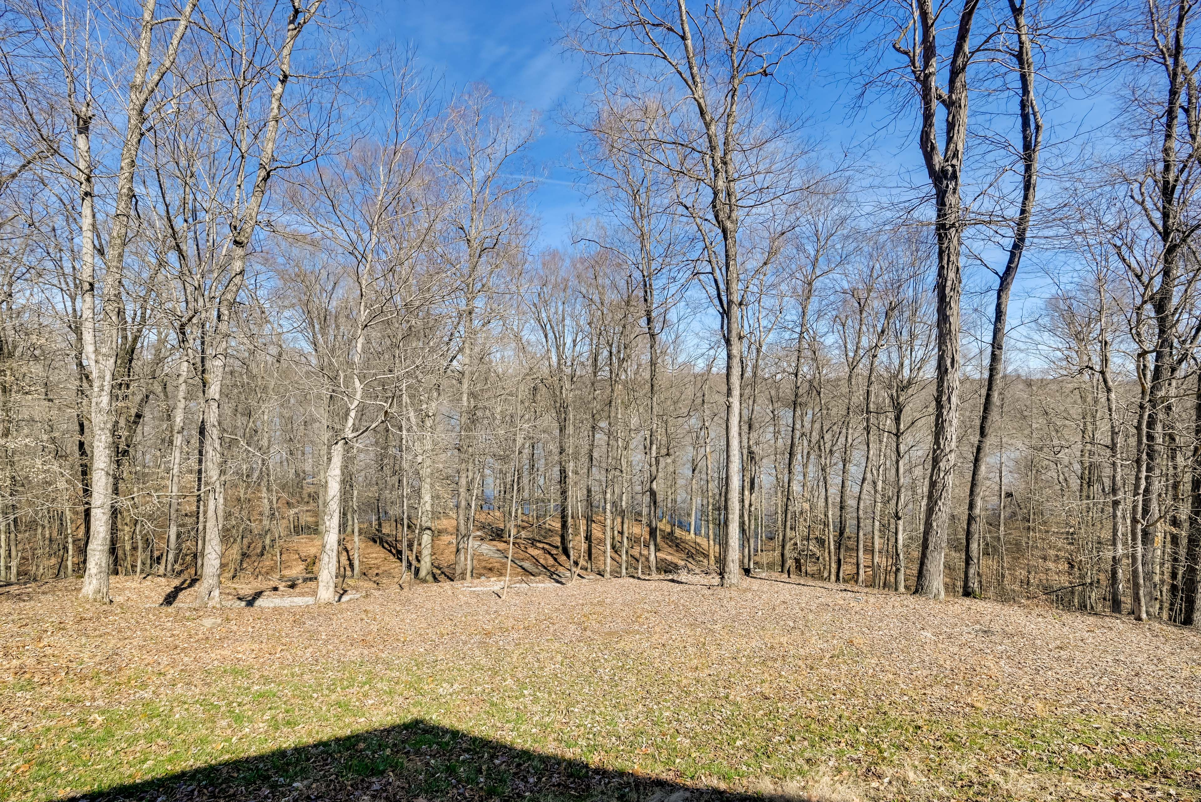 Yard | Wooded & Lake Views