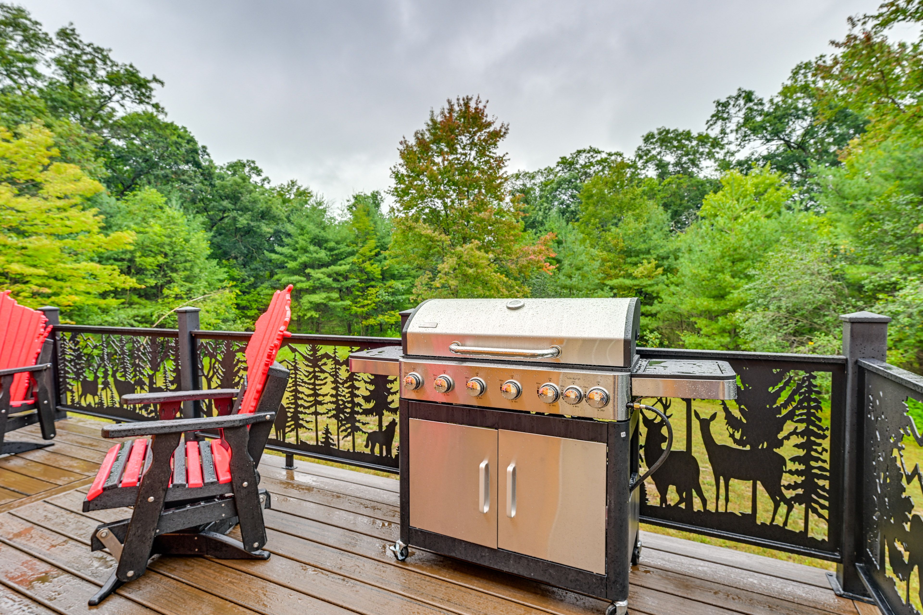 Gas Grill