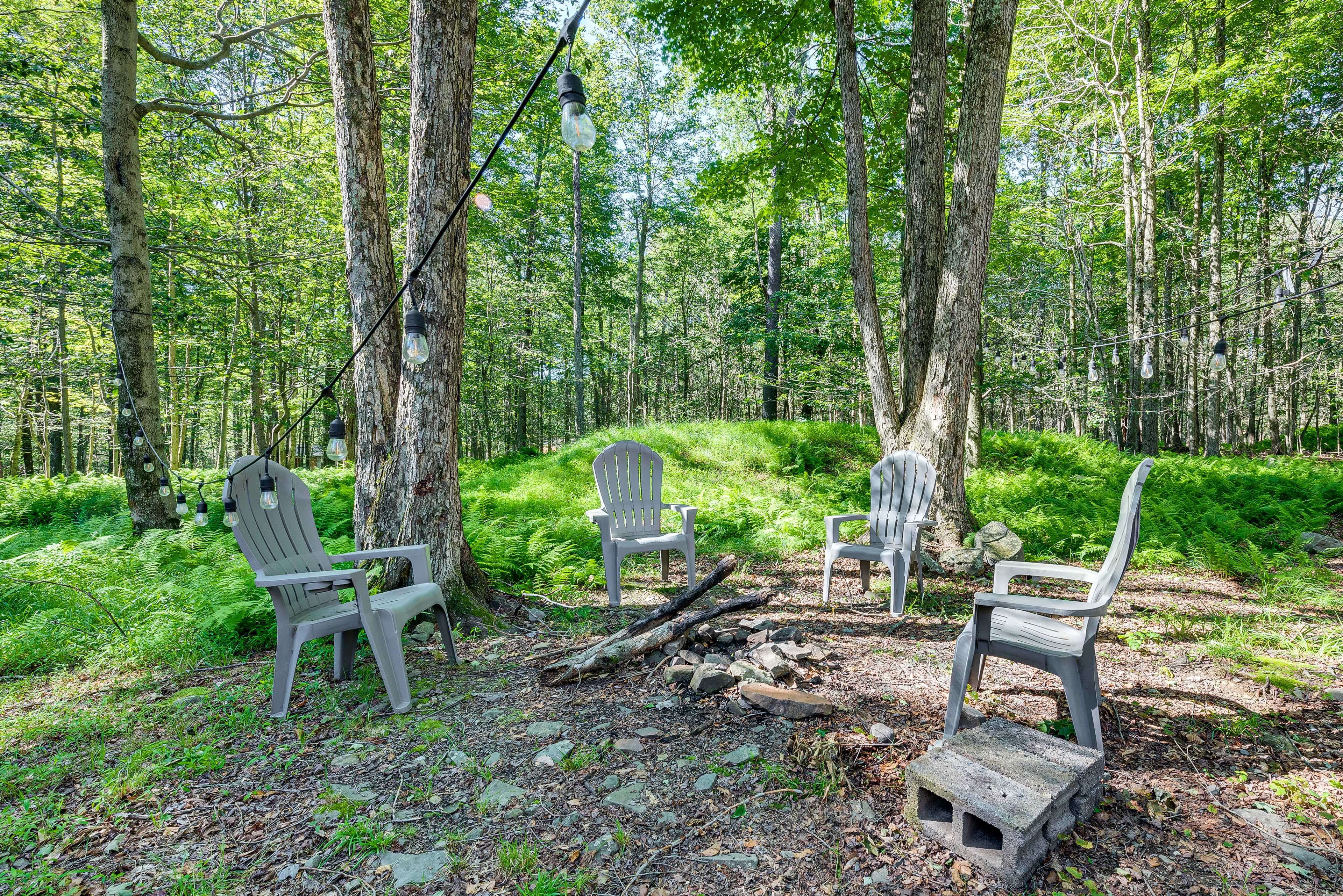 Private Outdoor Space | Fire Pit | Dartboard | 1 Acre