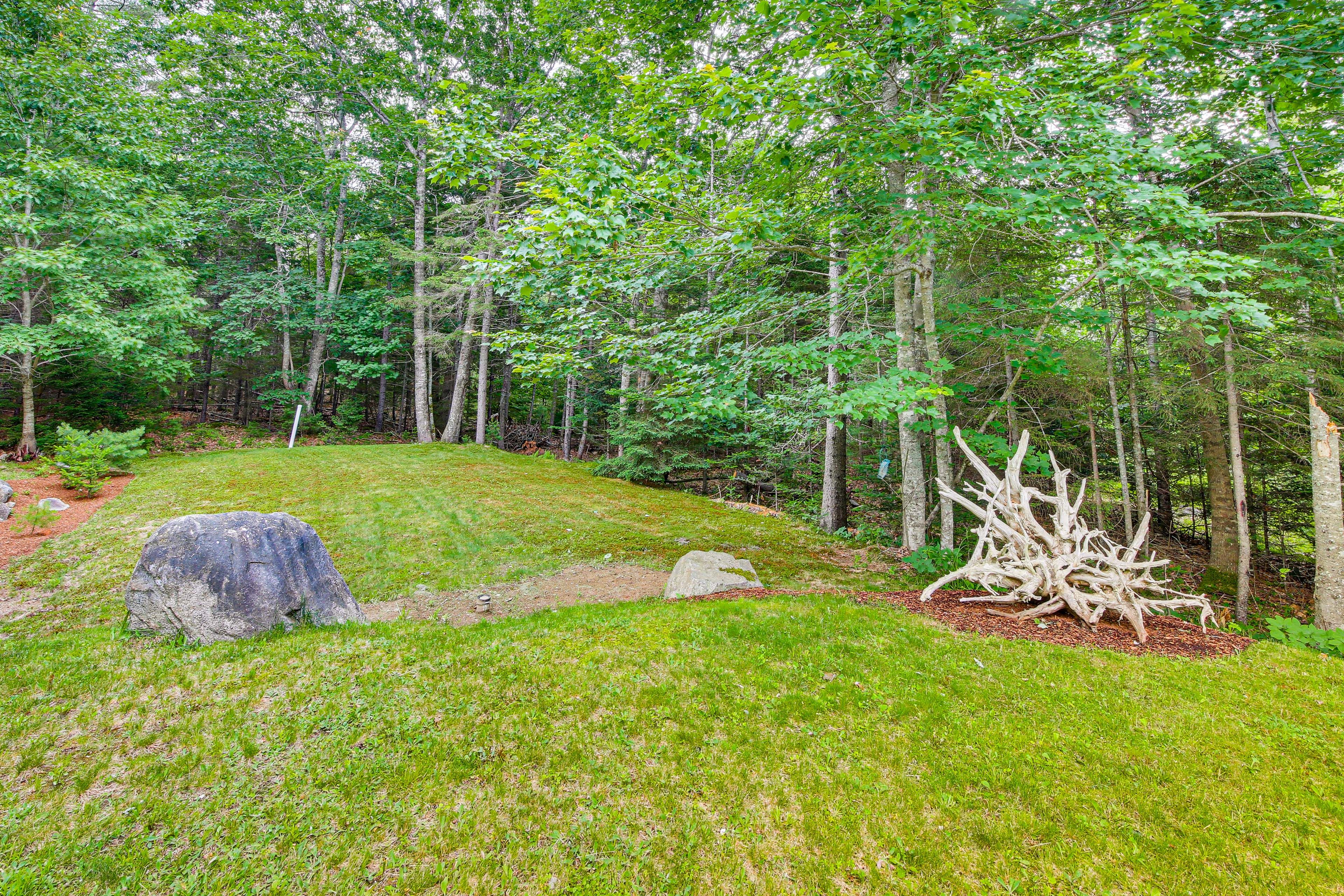 Yard | Gas Grill (Propane Provided)