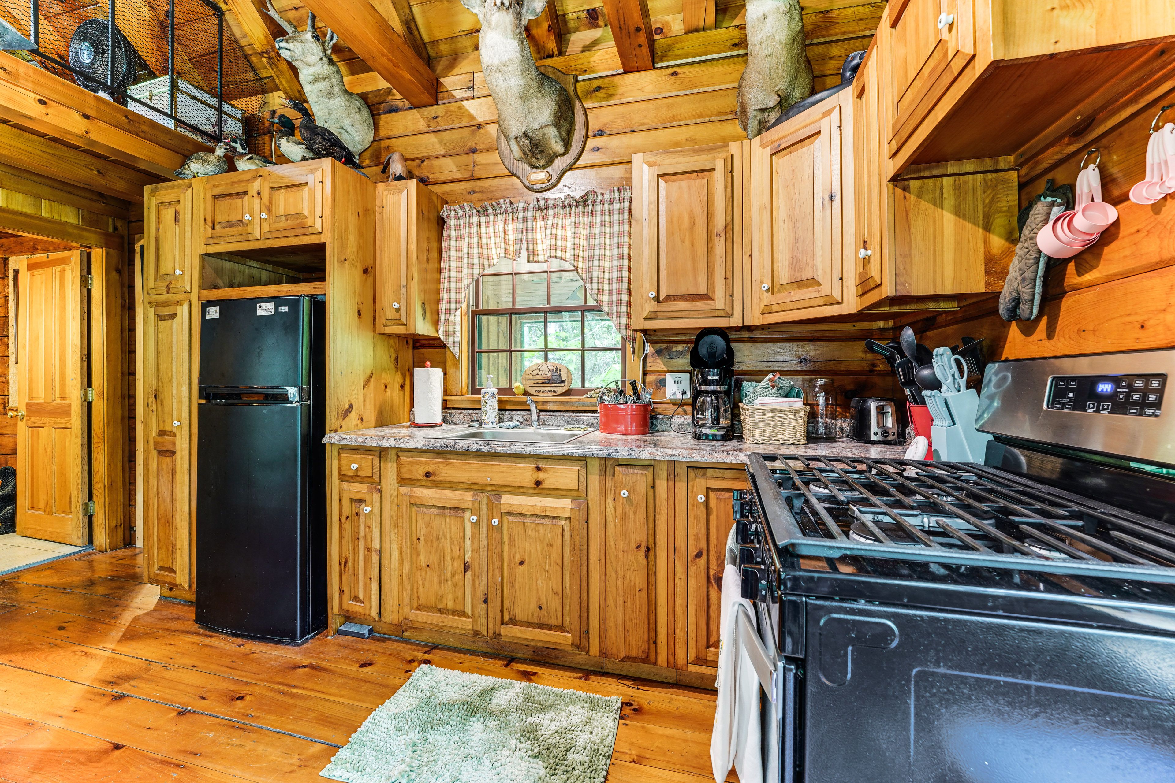 Kitchen | Cooking Basics