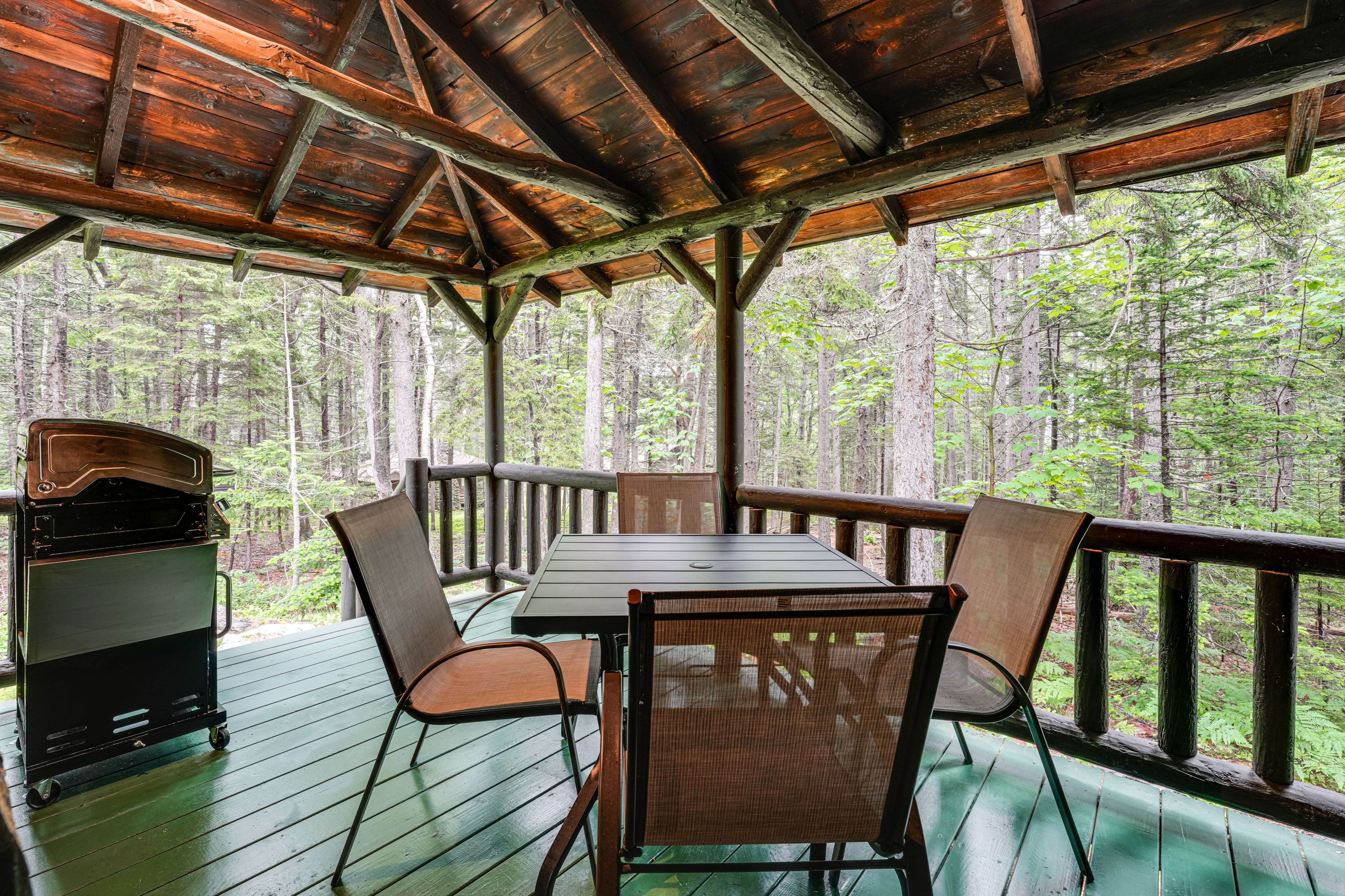 Deck | Gas Grill | Wooded Views