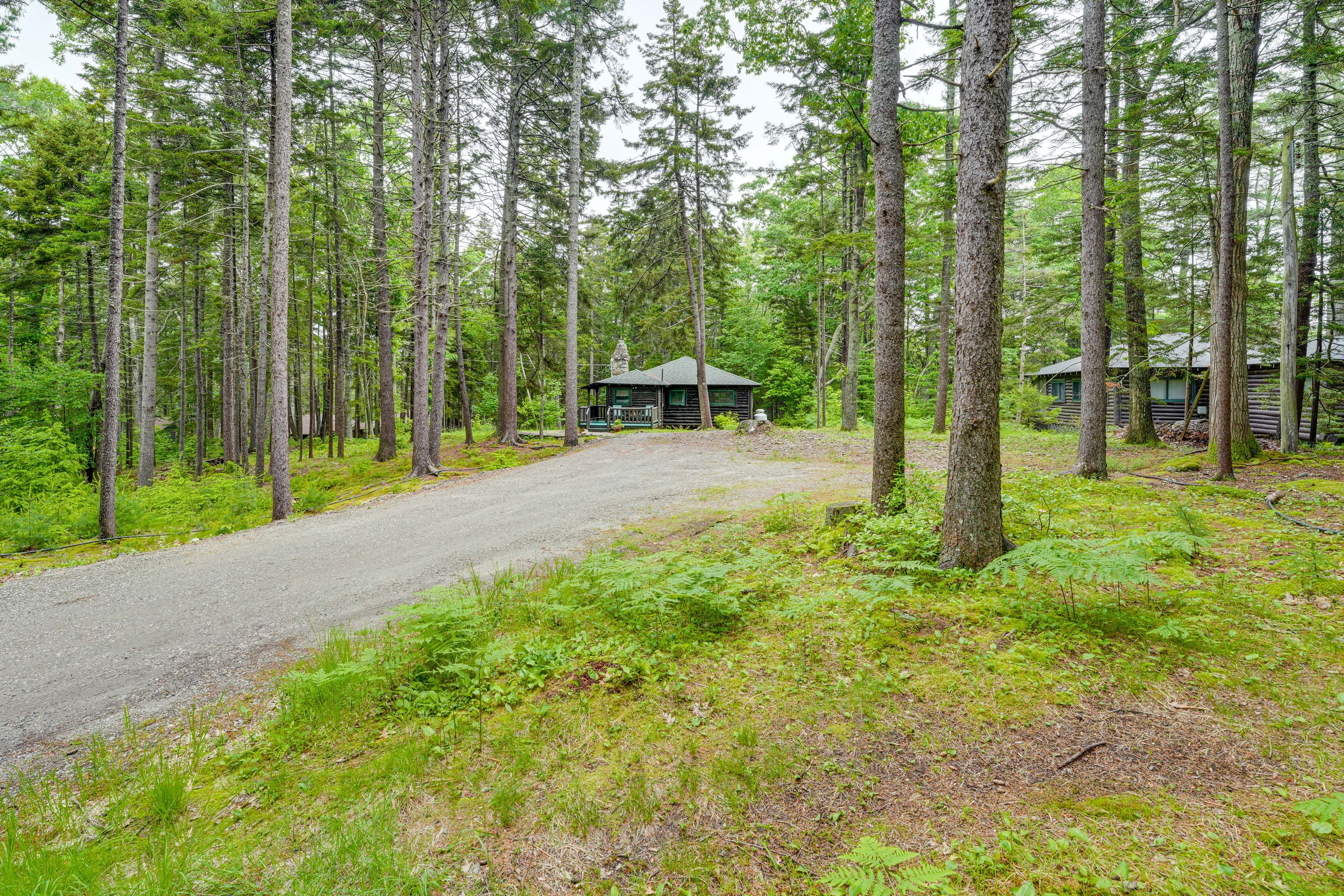 Parking | Gravel Driveway (4 Vehicles)