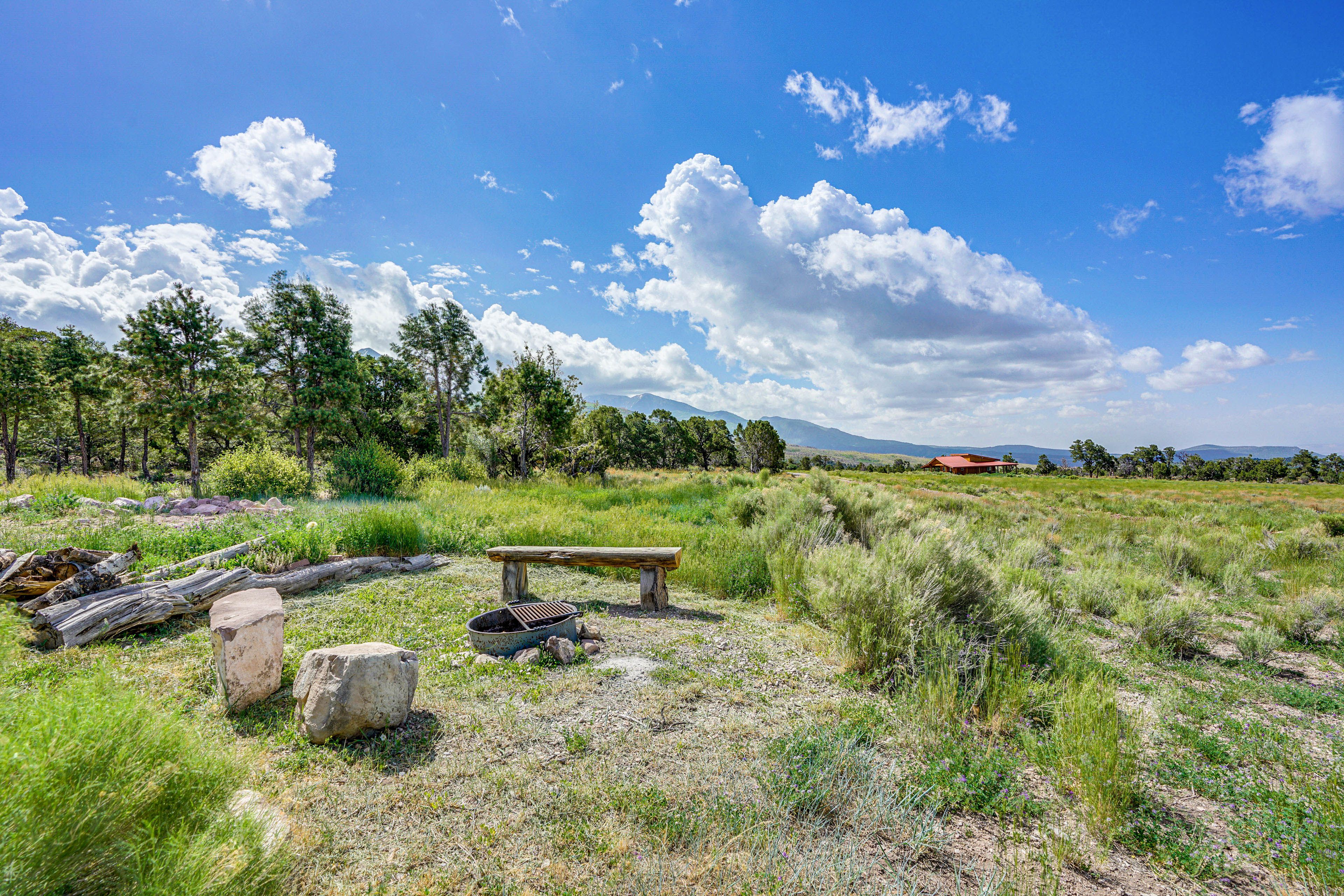 Fire Pit Area