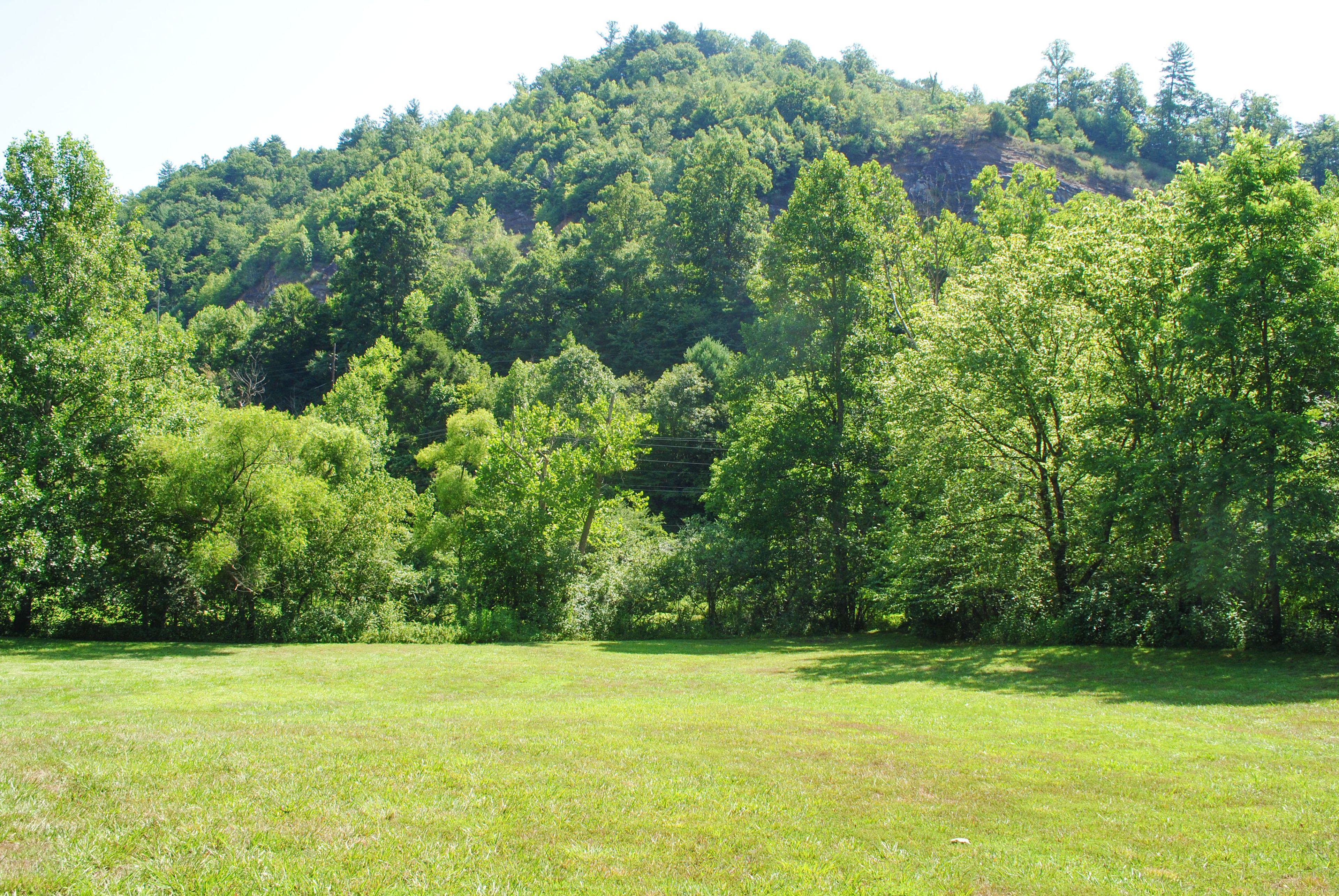 Image 32