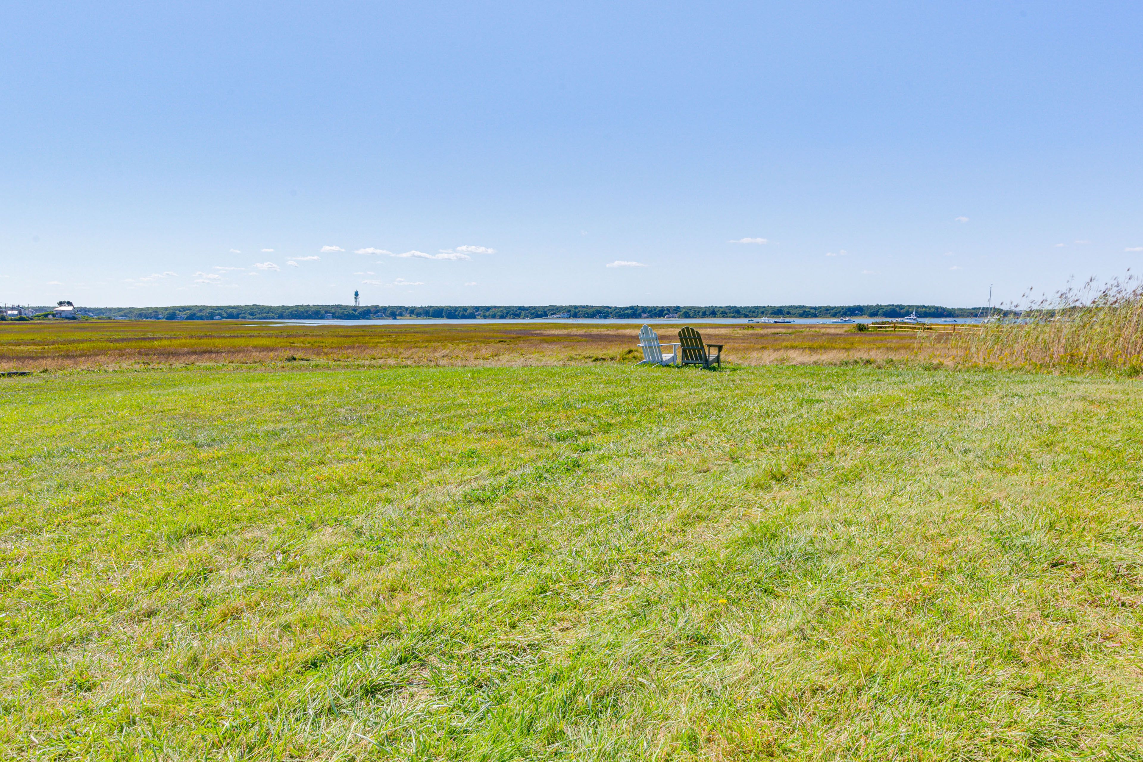 Yard Area
