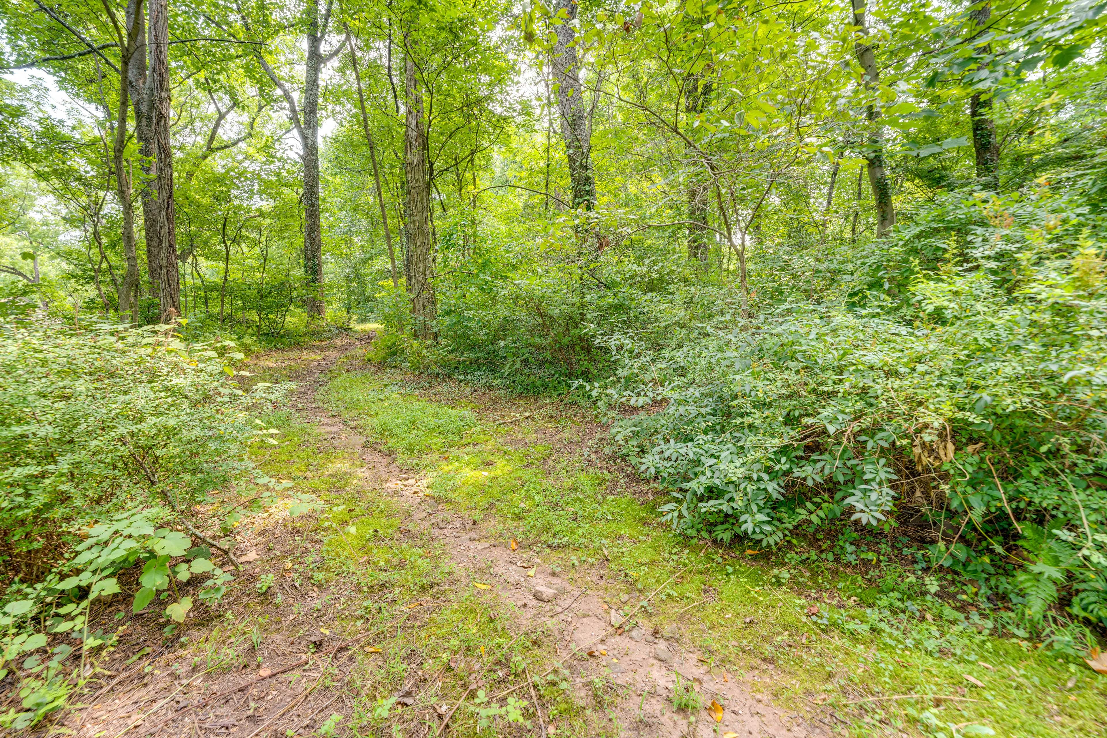 Walking Path