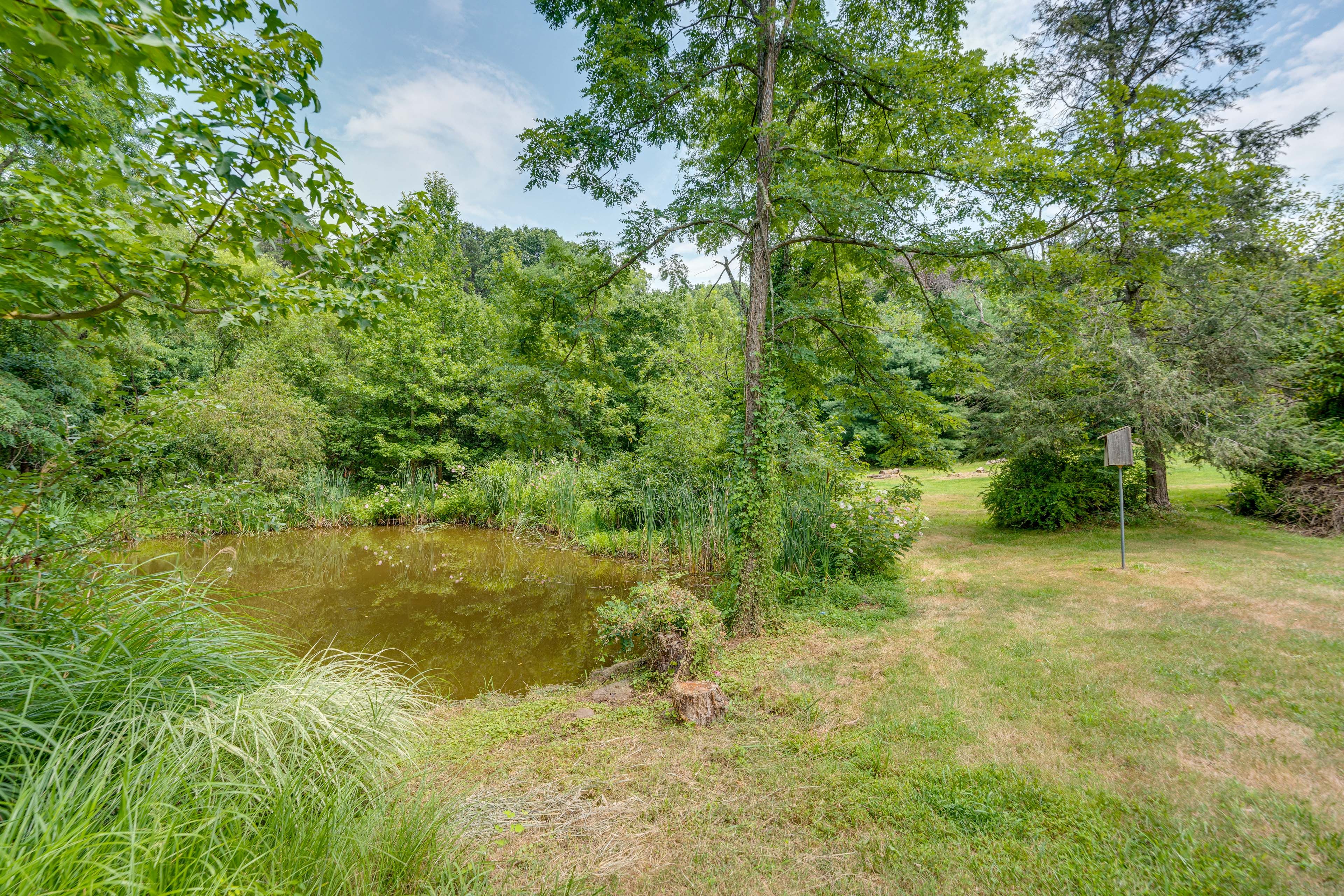 Pond