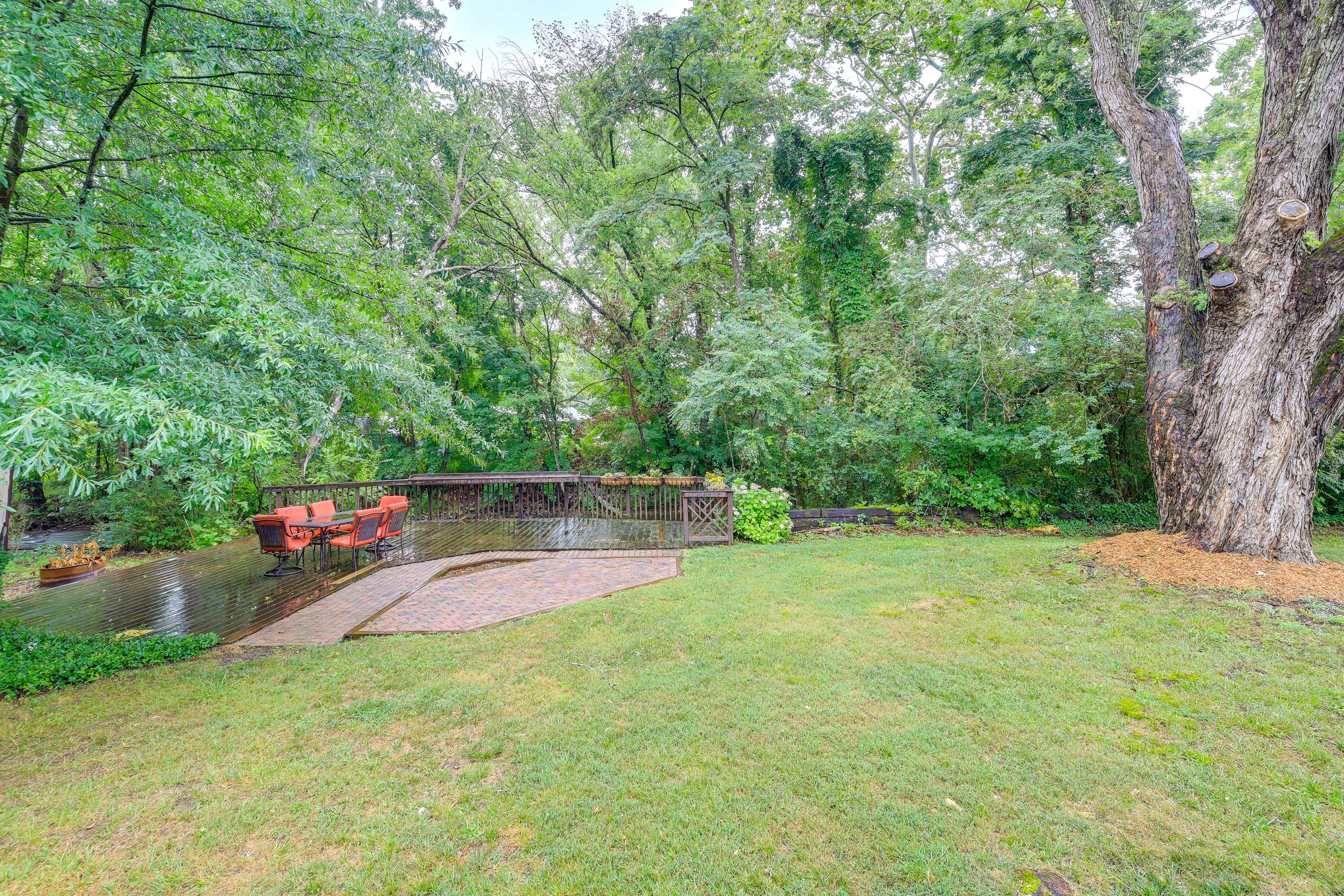 Backyard