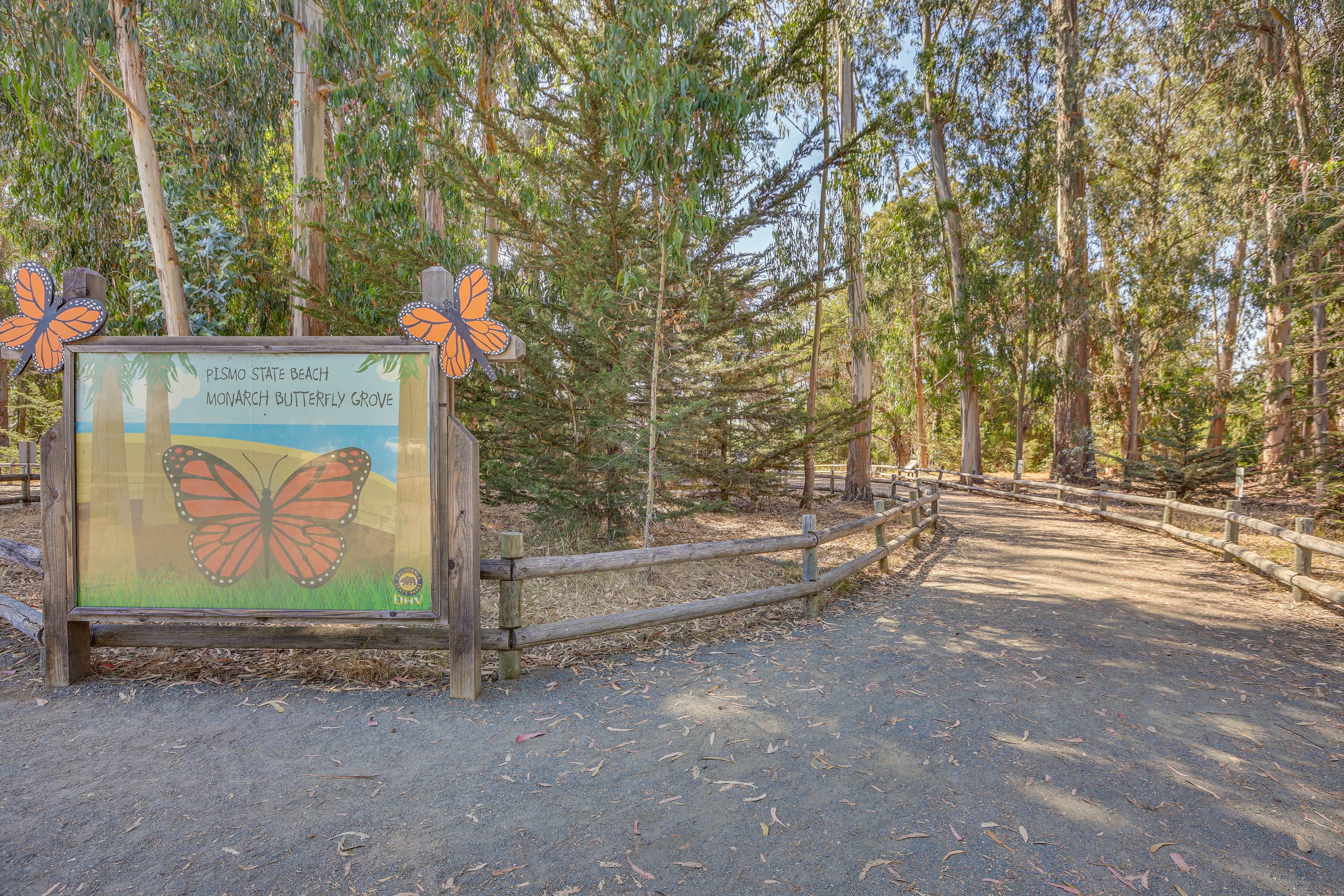 Monarch Butterfly Grove | 0.2 Mi Away