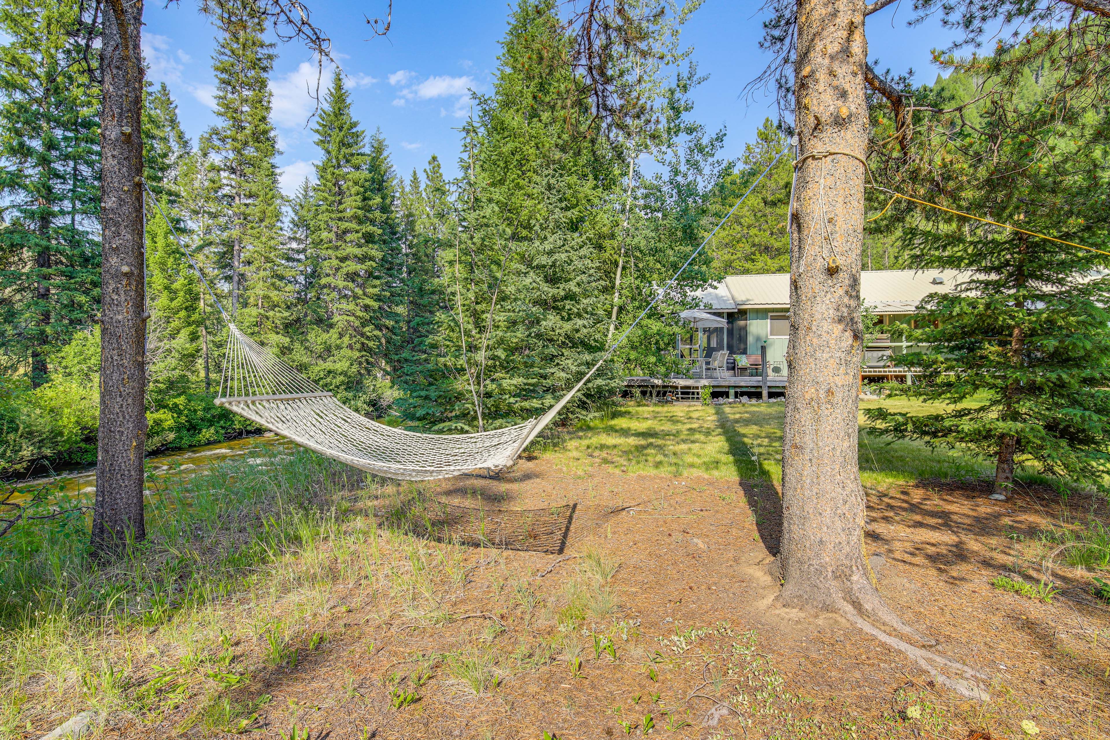 Private Yard | Hammock | River Access