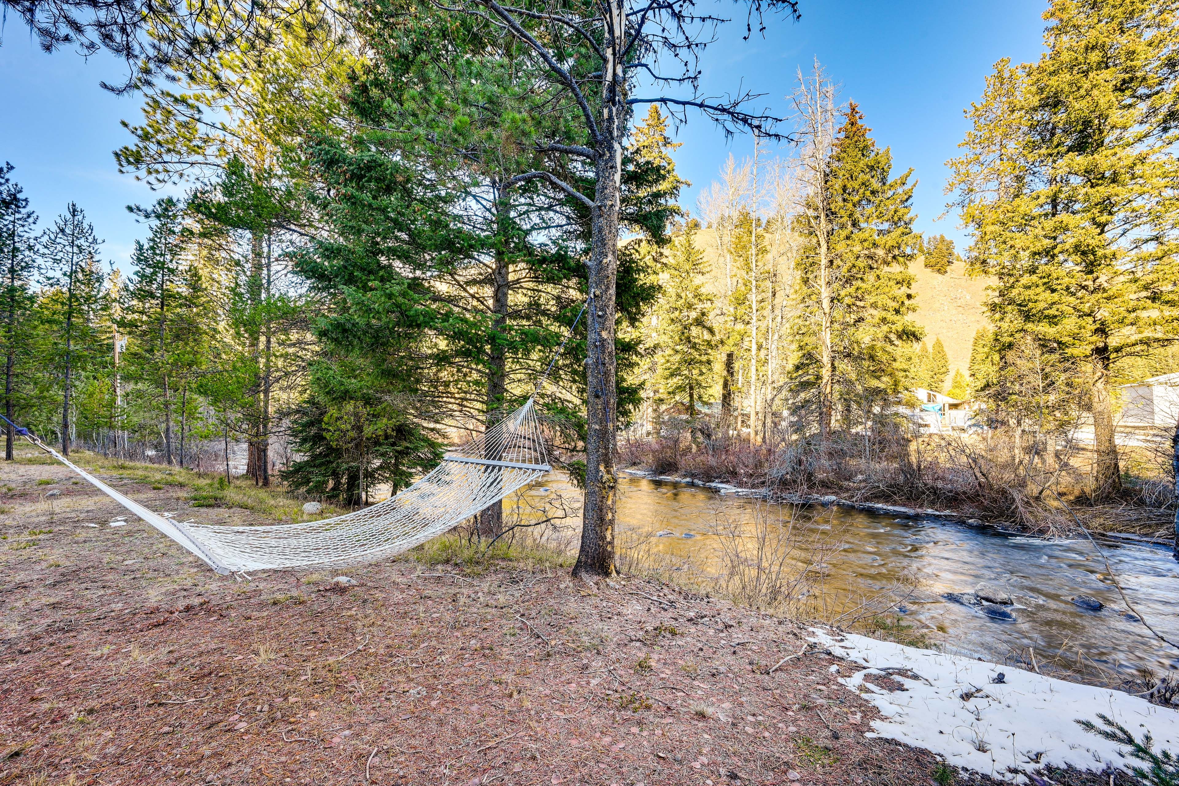 Private Yard in Winter | Hammock | River Access