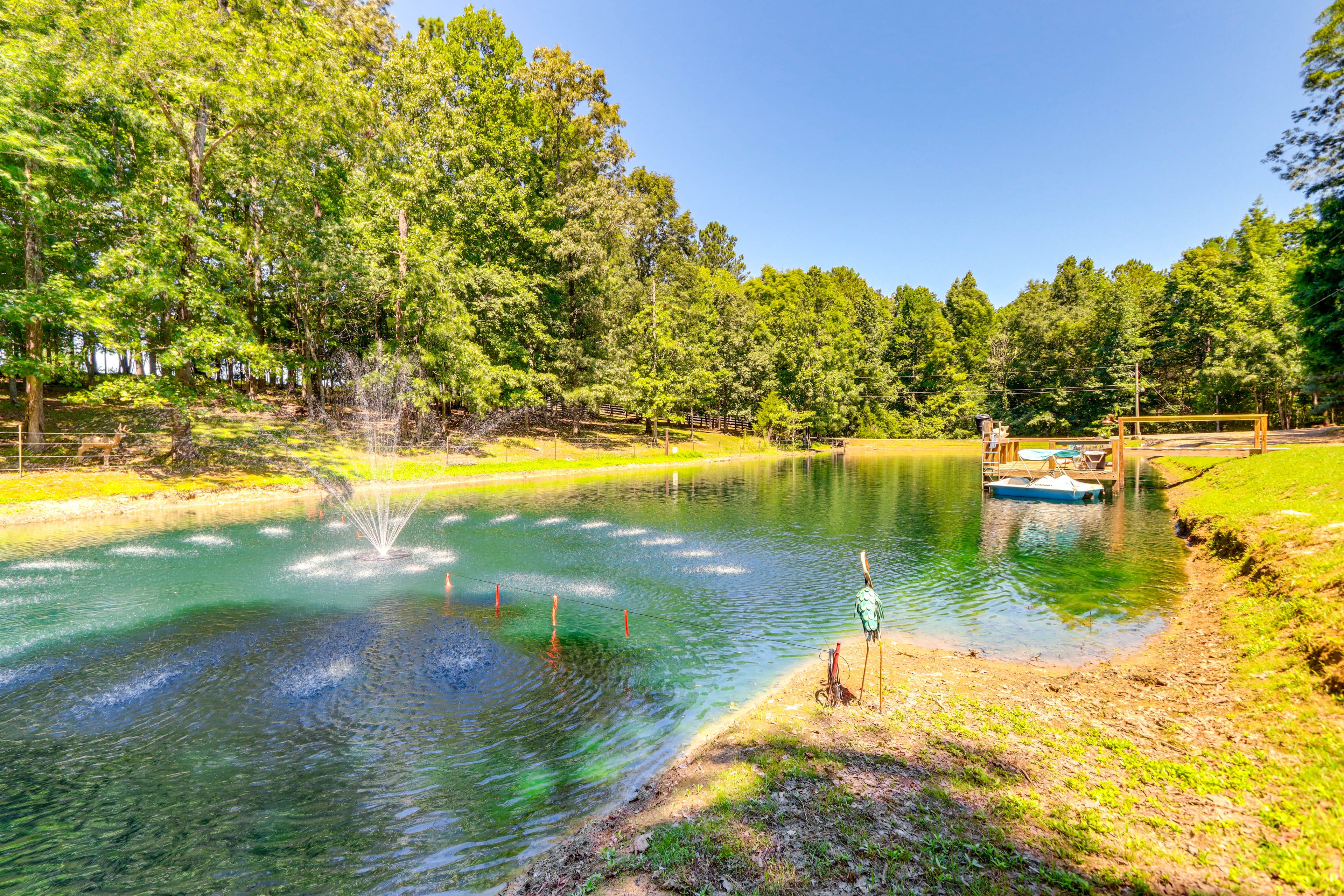 Private Pond | Dock | Pedal Boat | Life Jackets