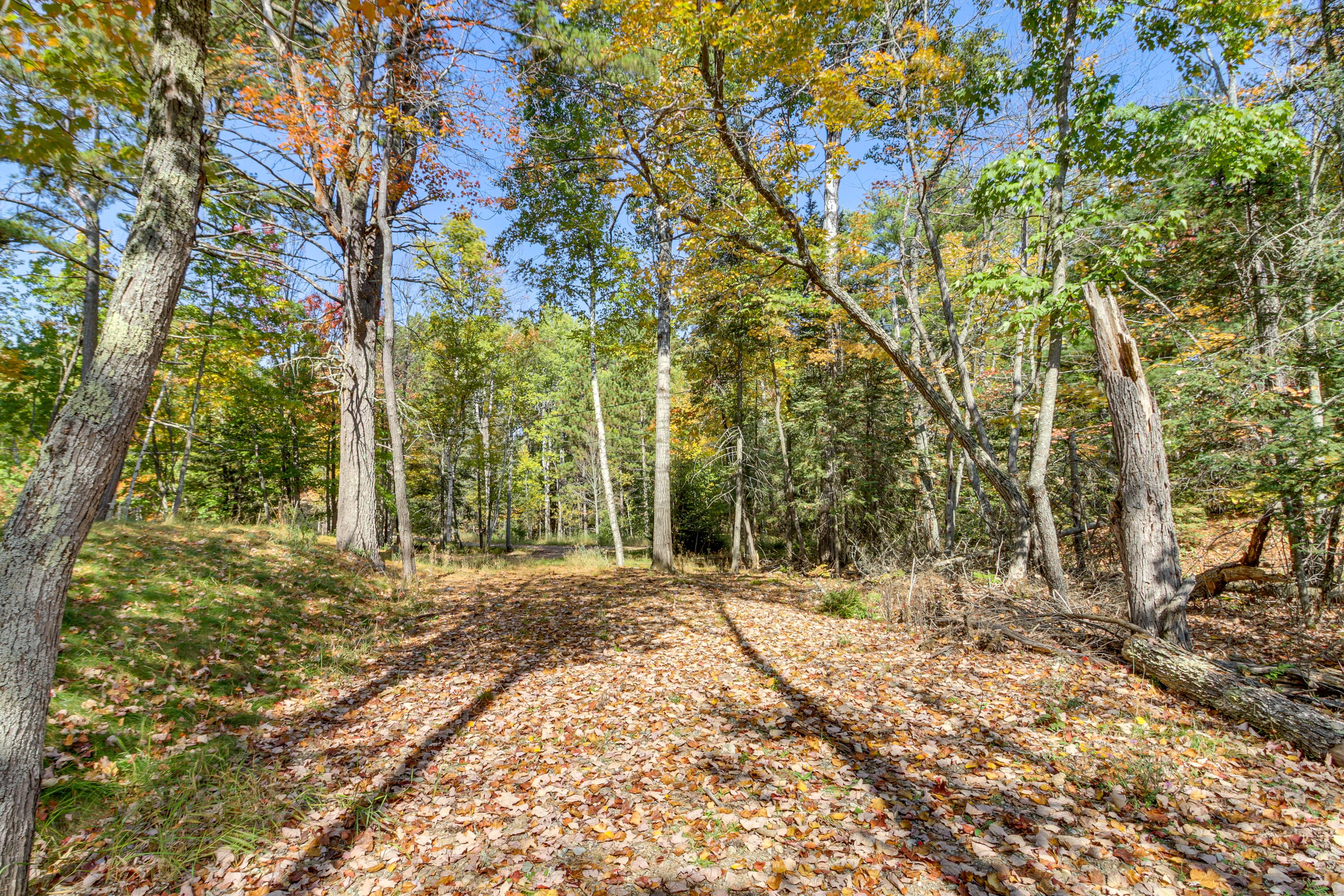 Property Surroundings