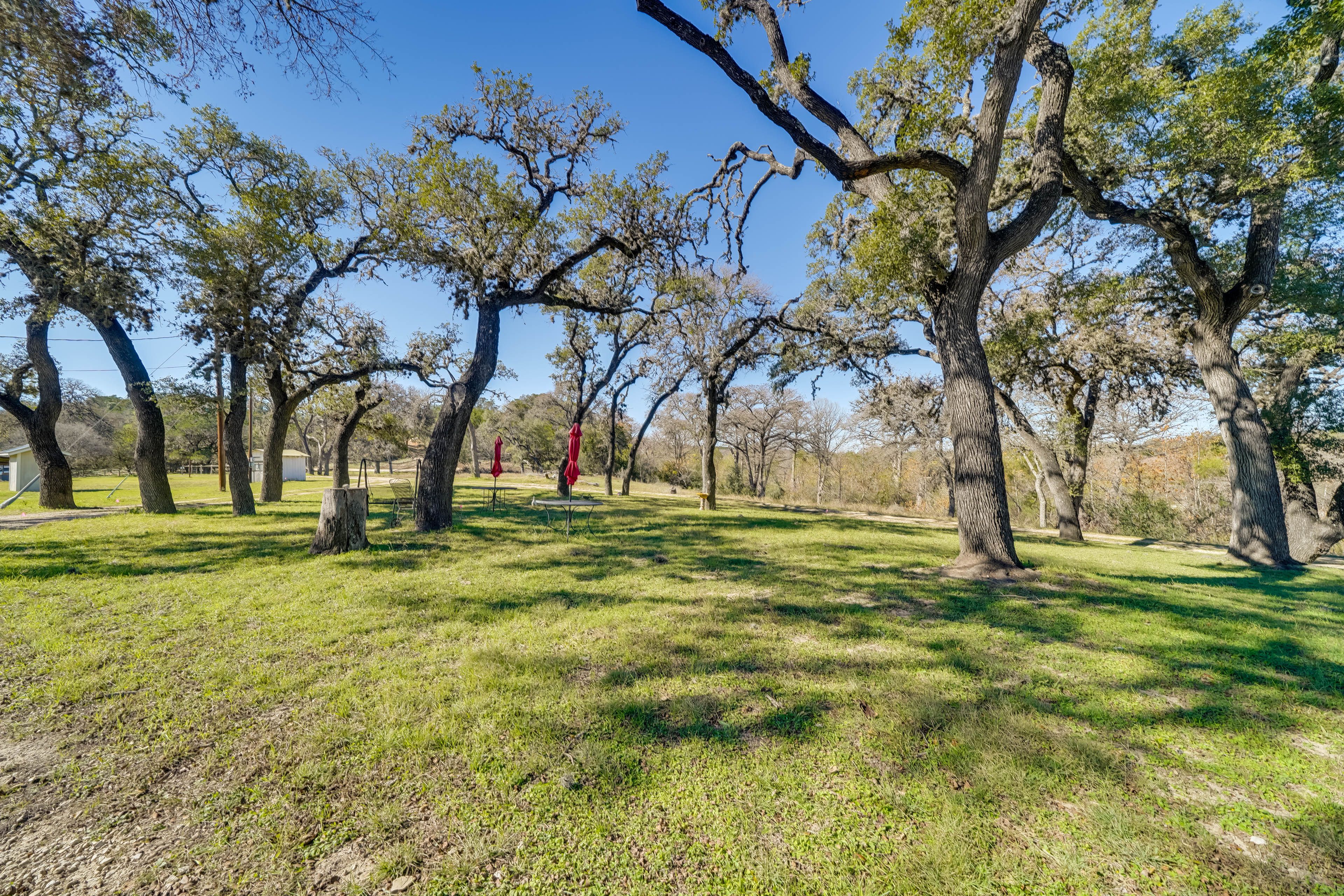 Shared 6-Acre Property