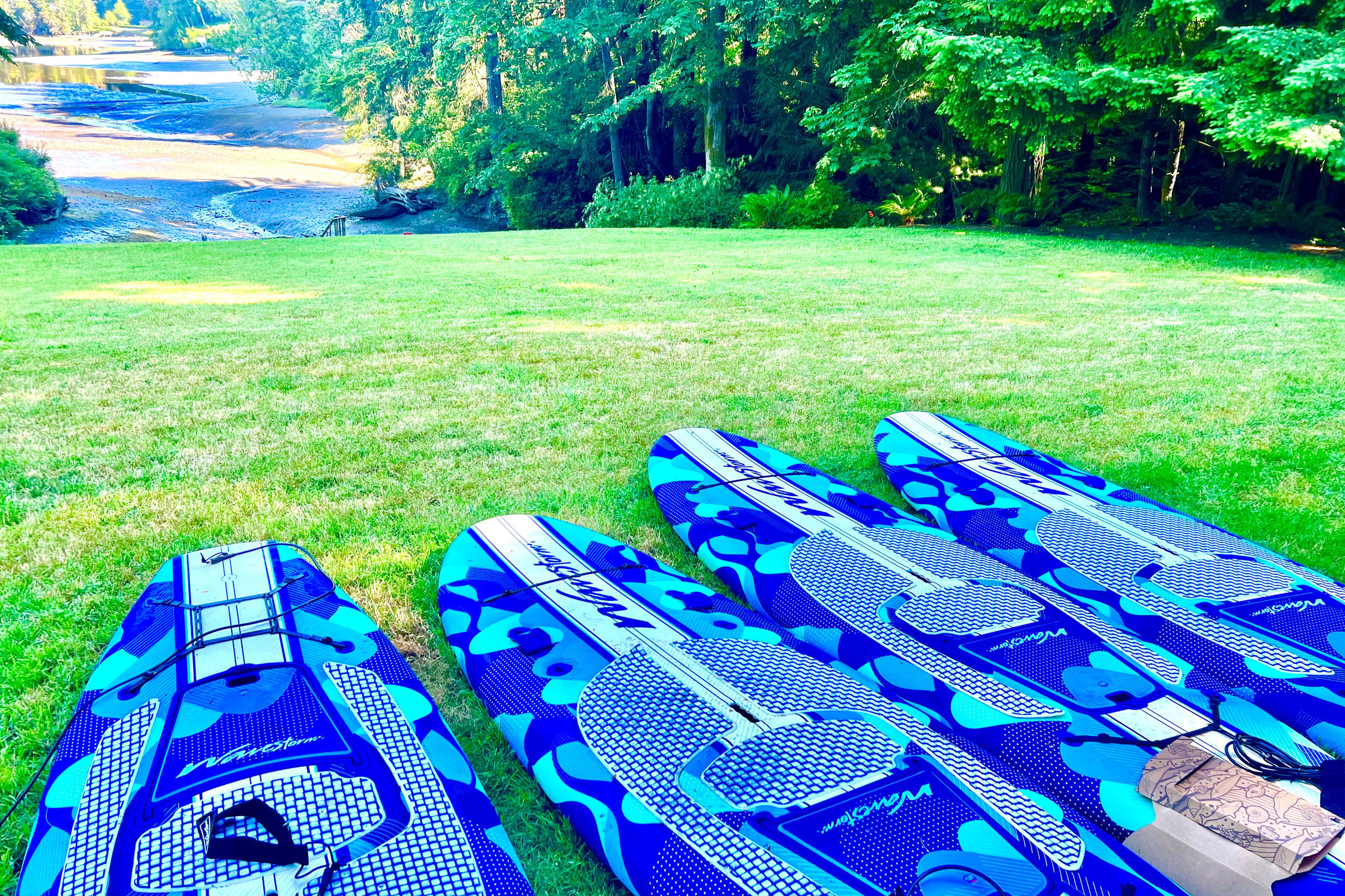 Paddleboards Provided