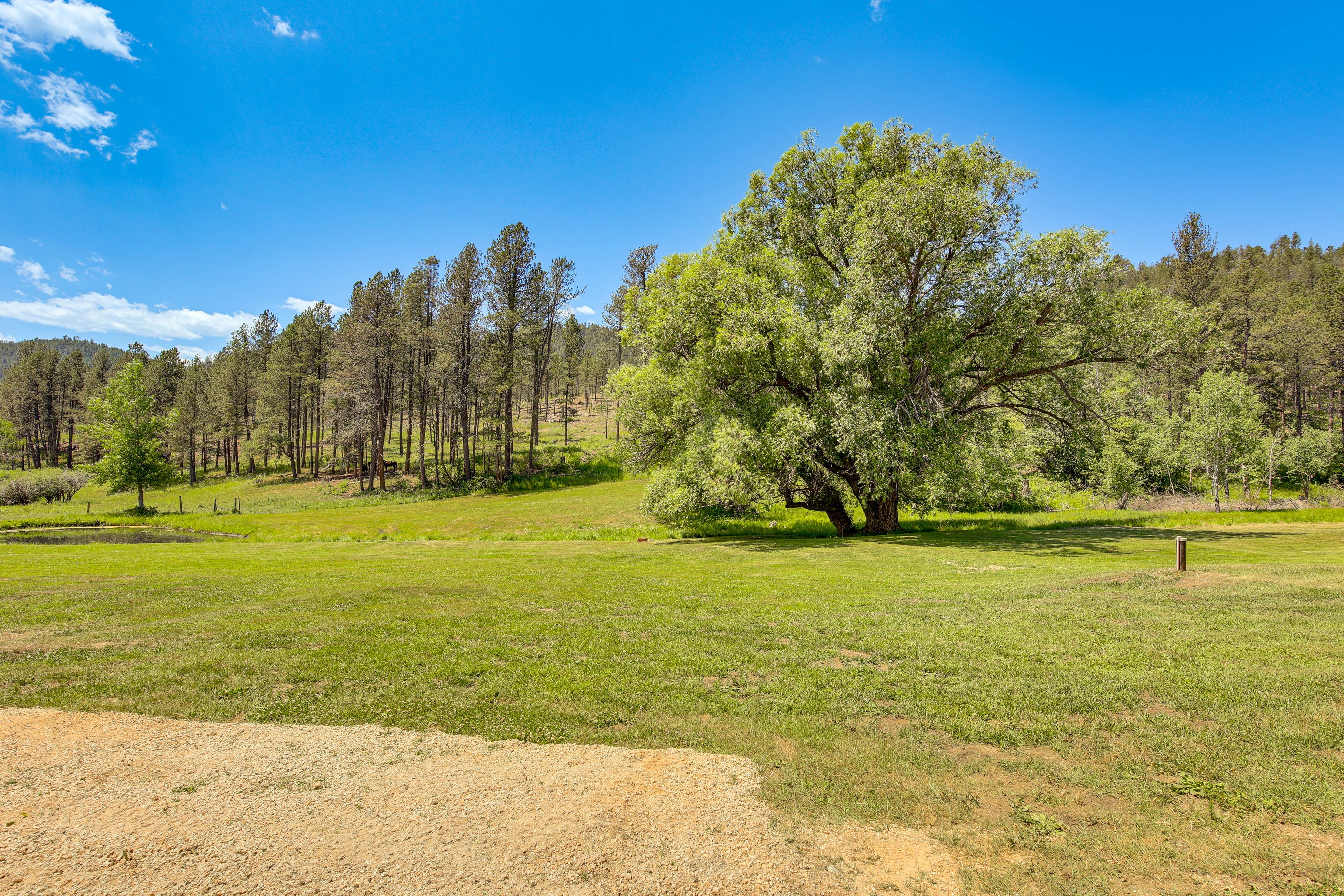 Property Surroundings