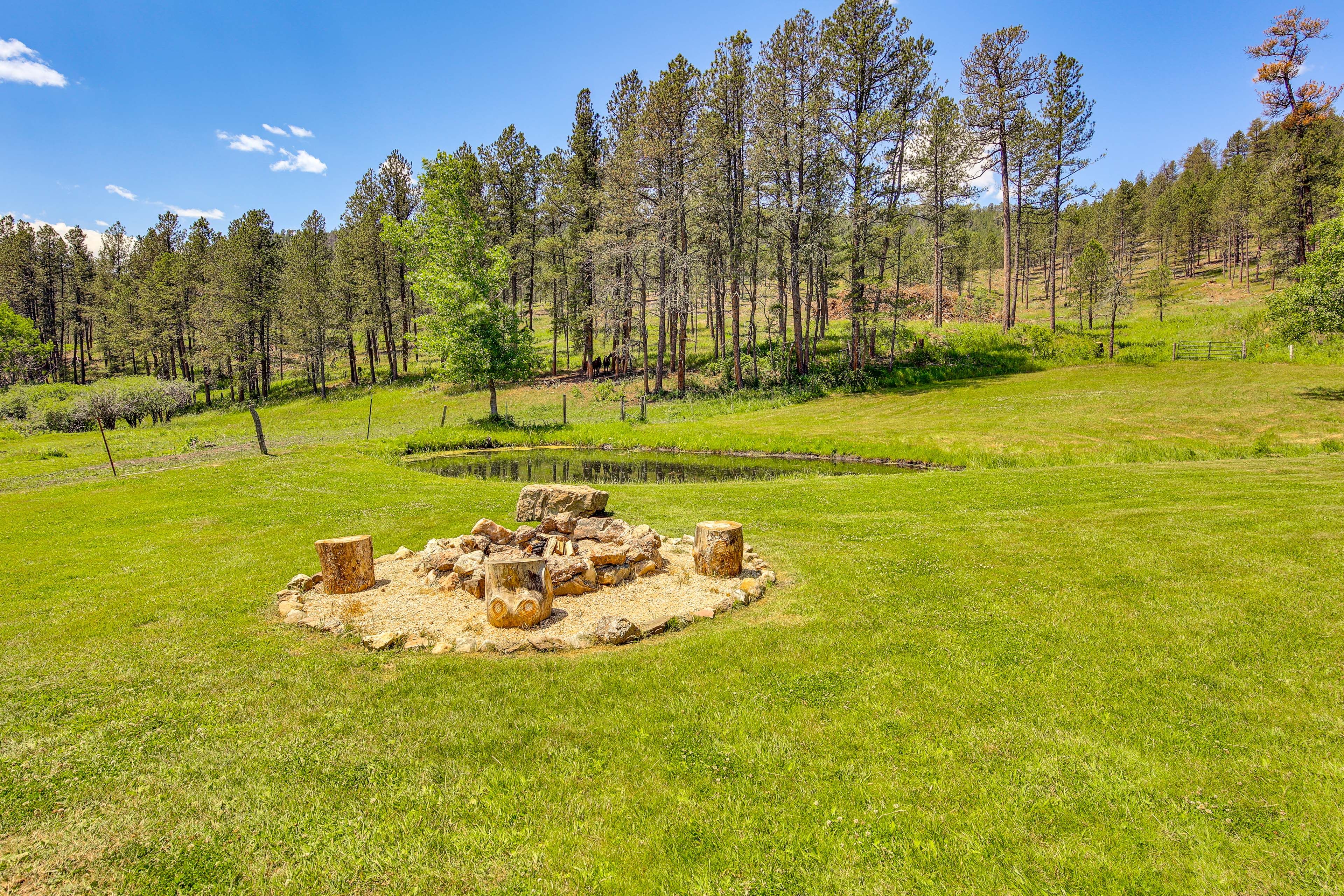 Wood-Burning Fire Pit