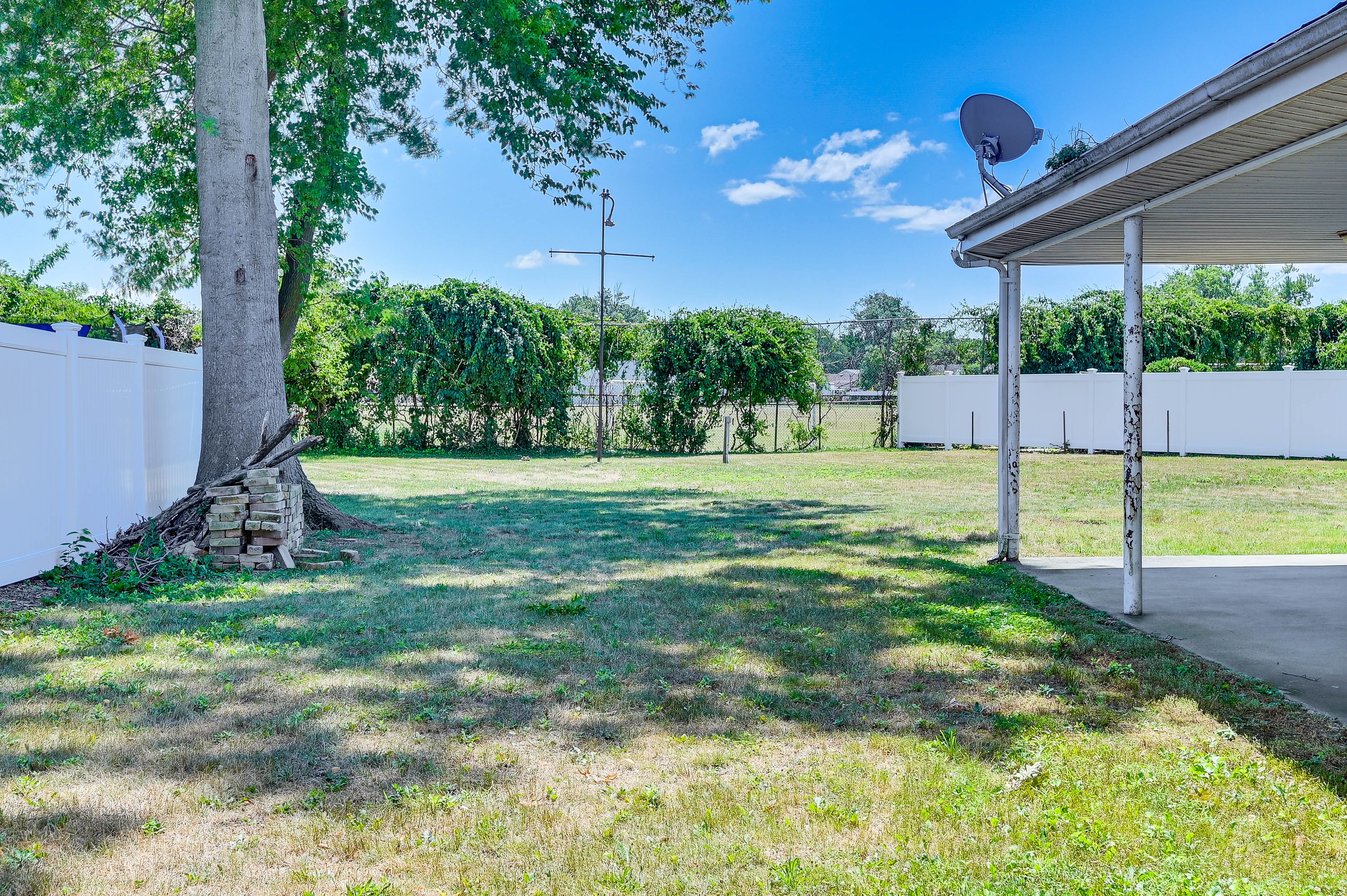 Shared Backyard