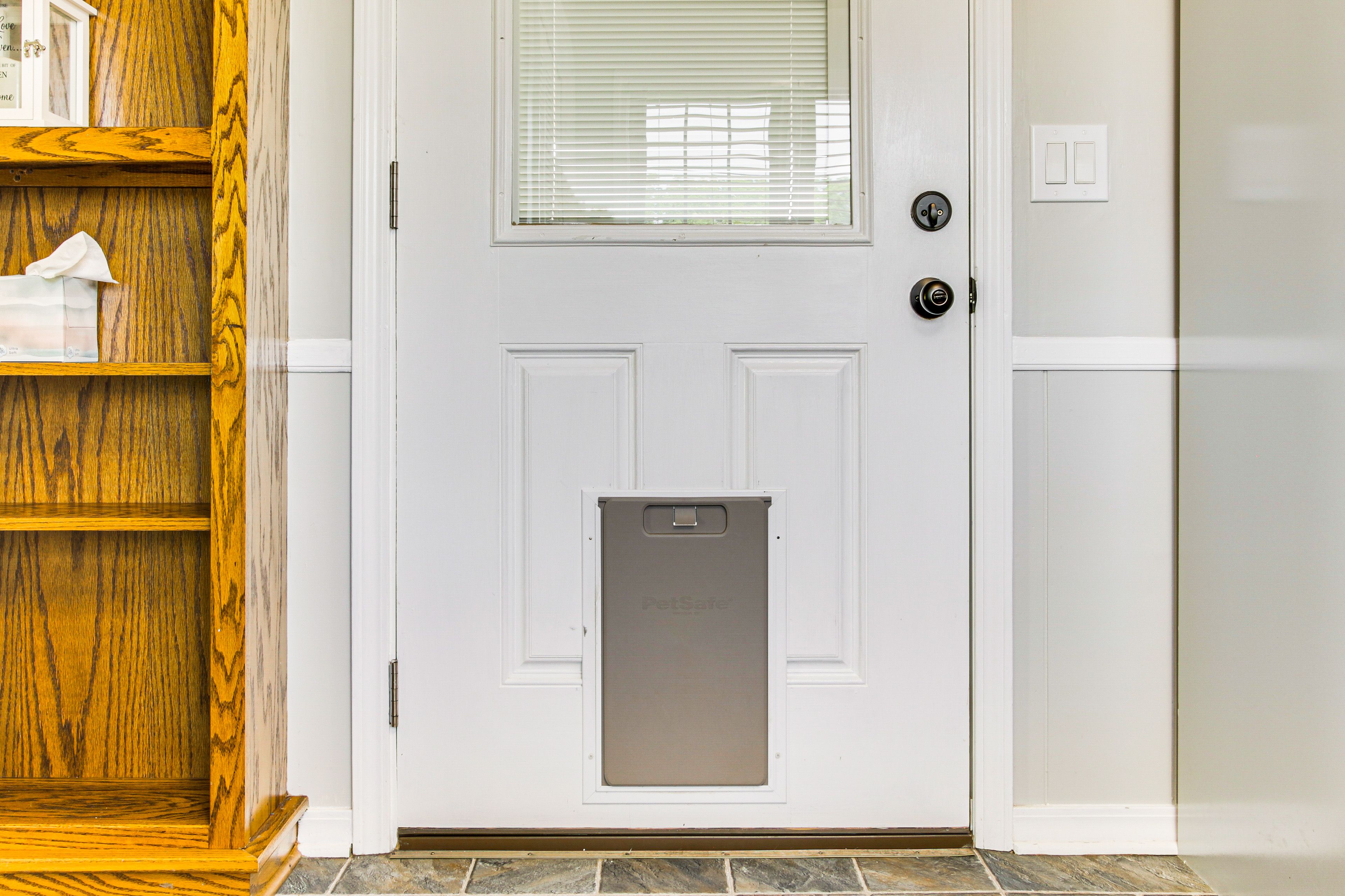 Dog Door