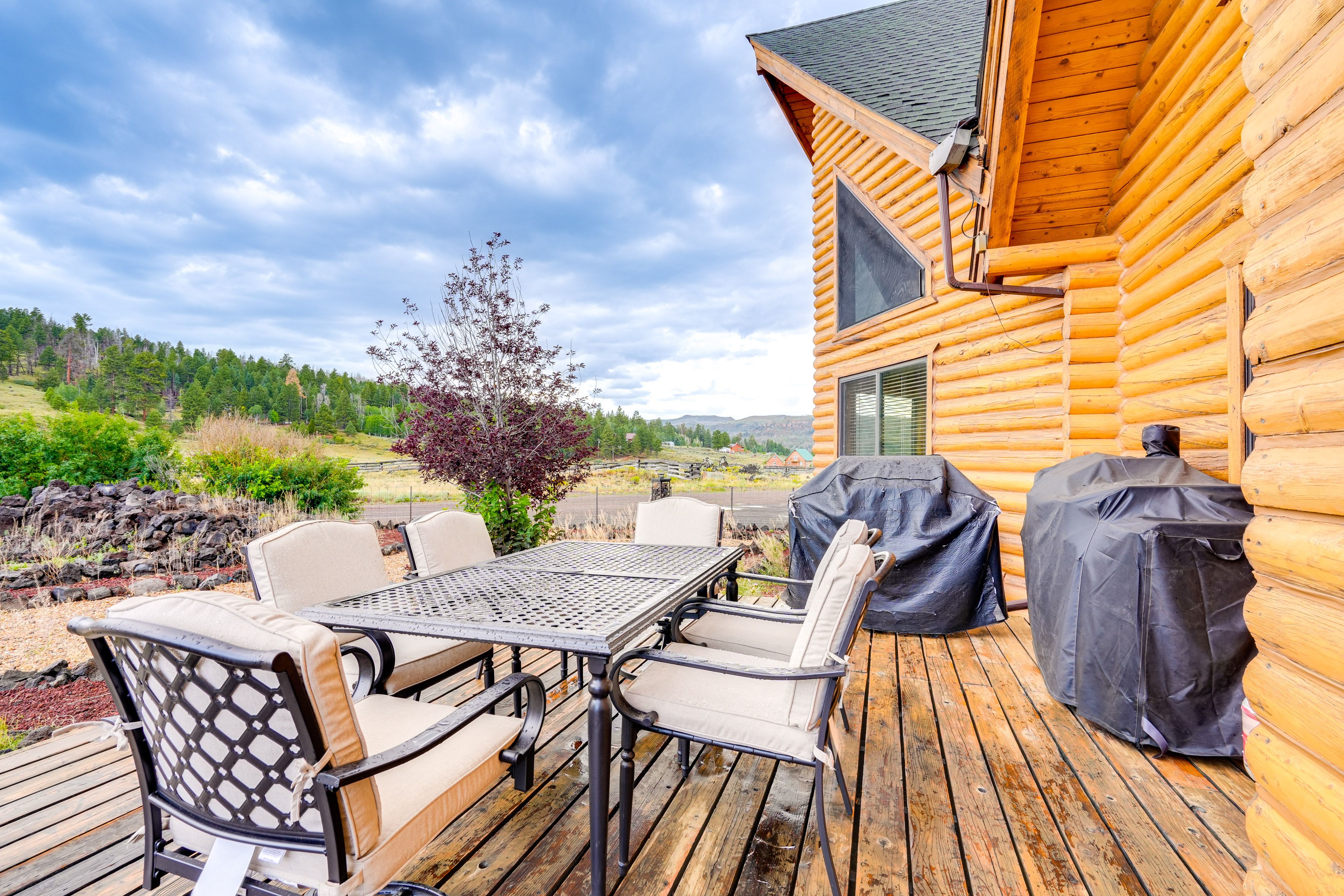 Deck | 2 Gas Grills | Smoker | Mountain Views