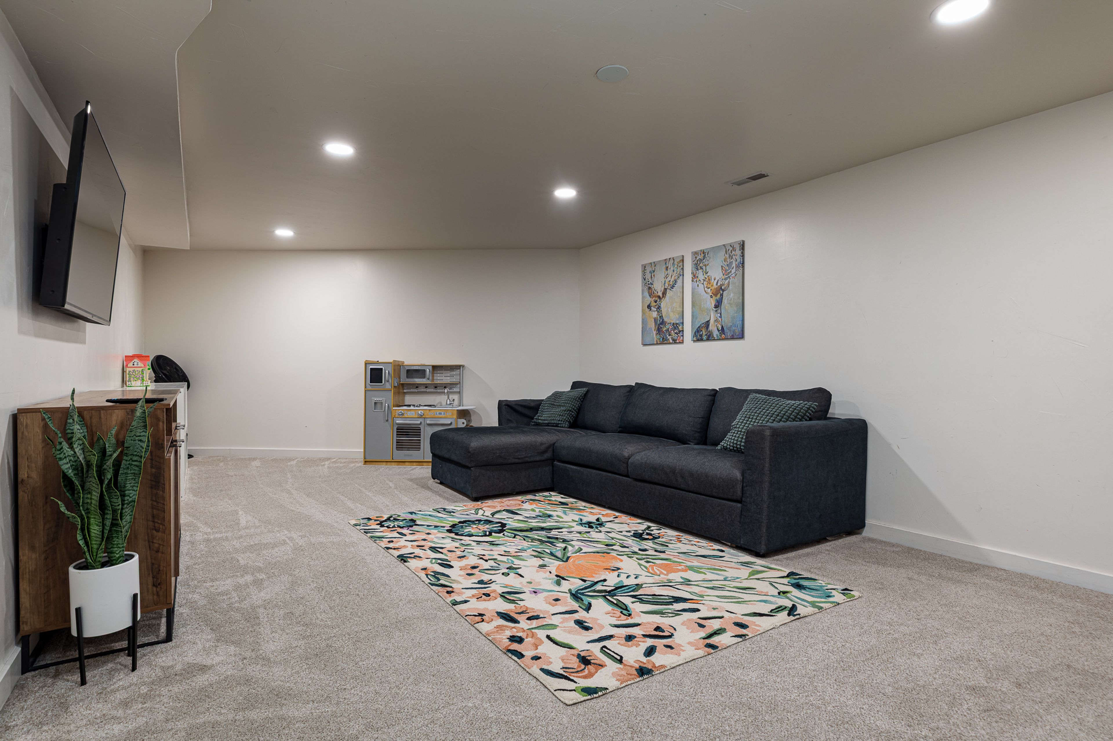 Basement | Queen Sleeper Sofa | Kid's Toys