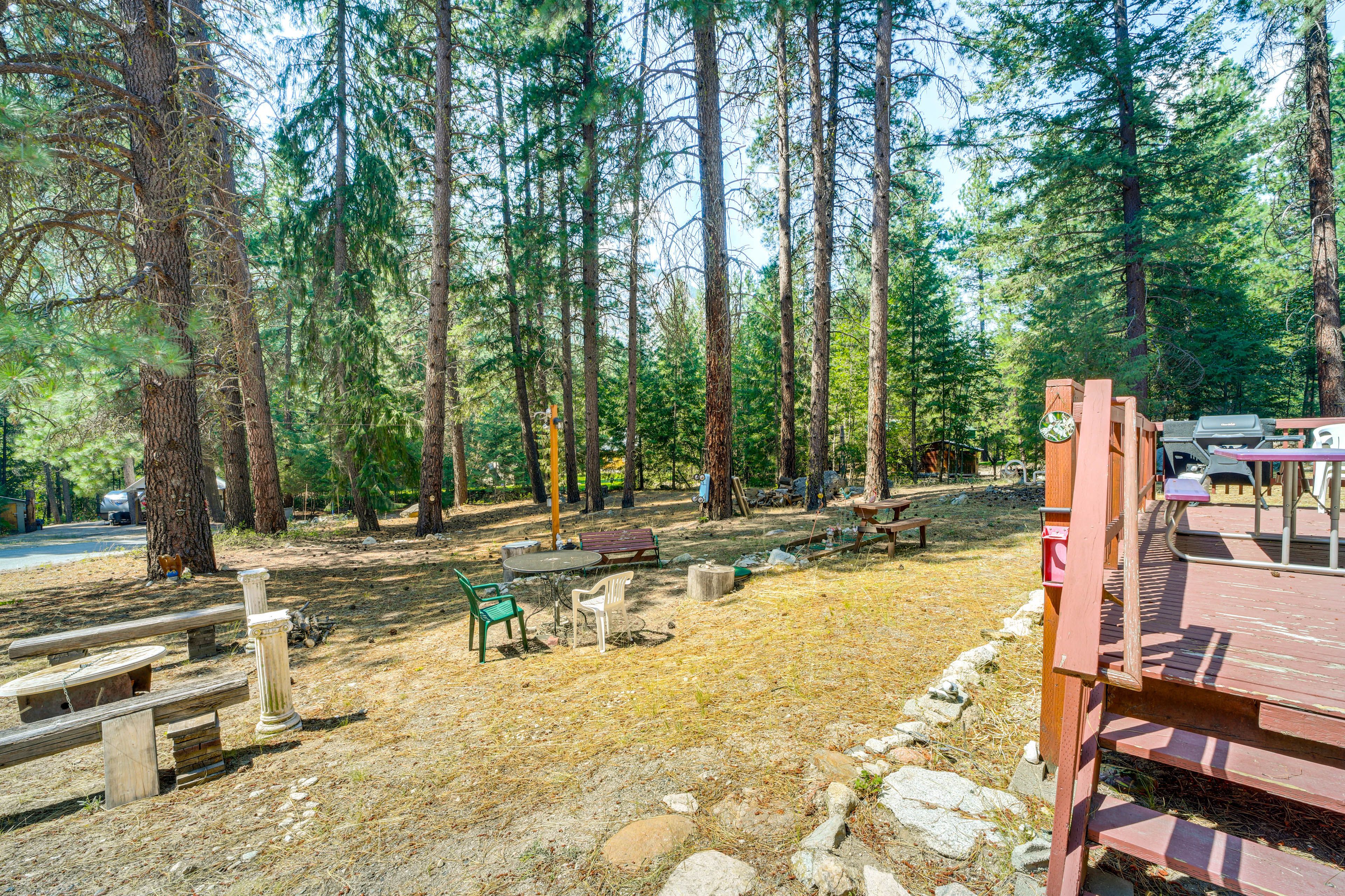 Backyard