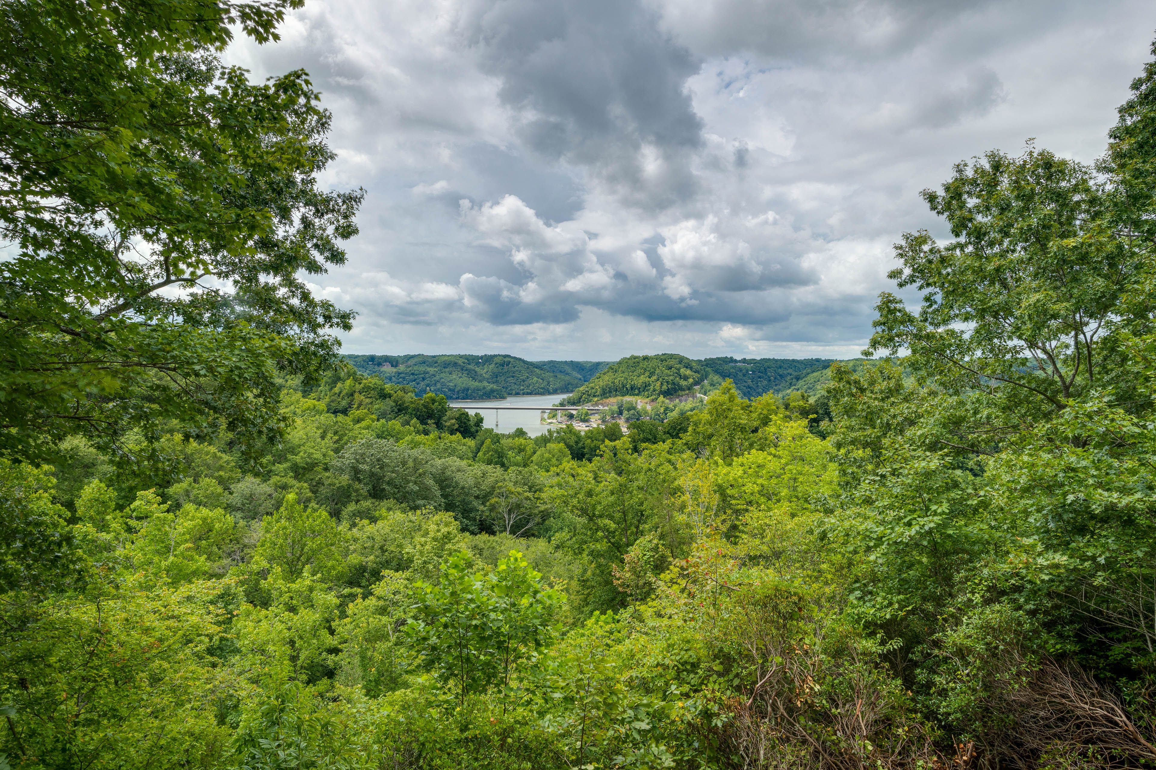 Lake Views