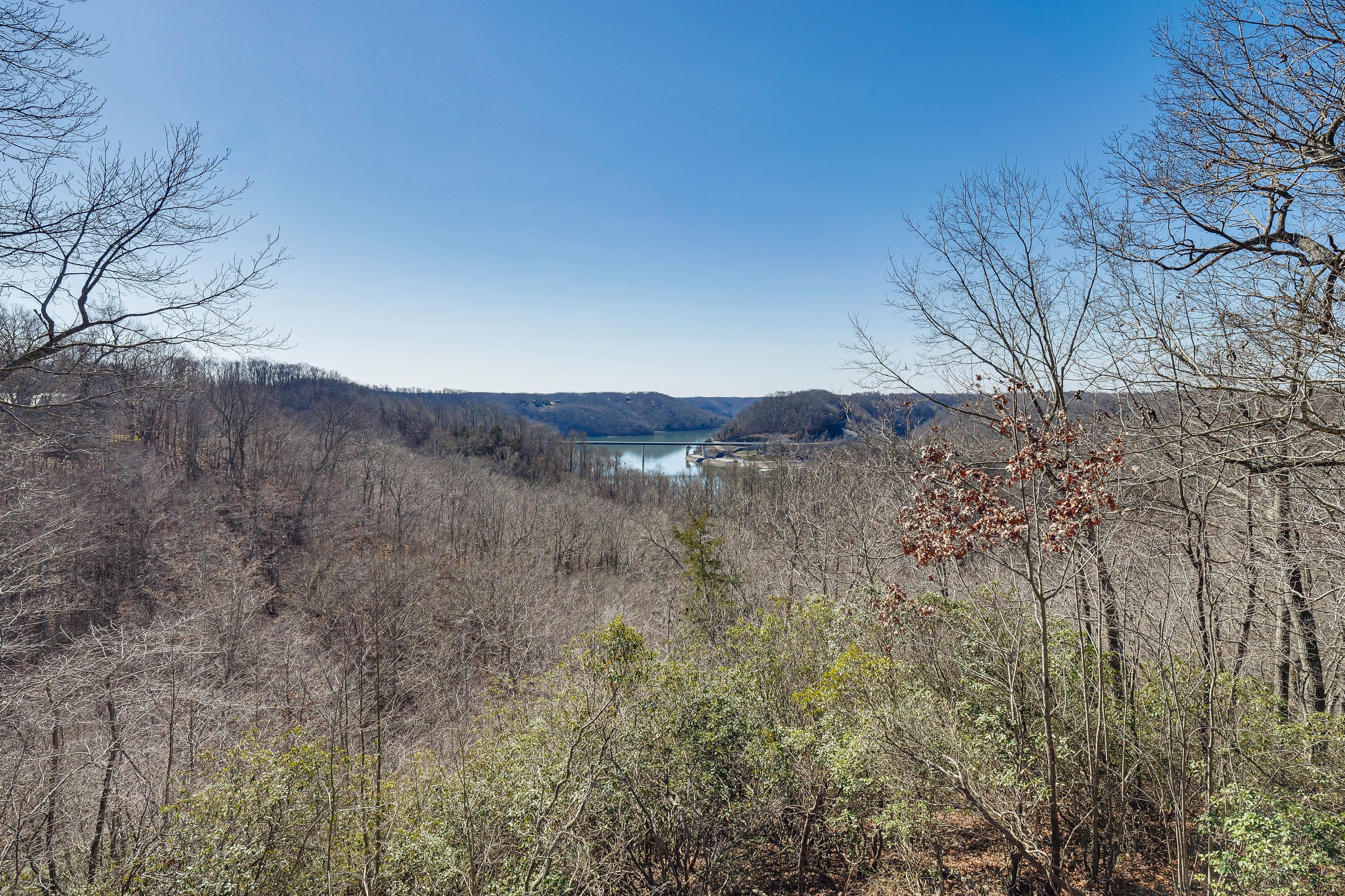 Lake Views in Spring