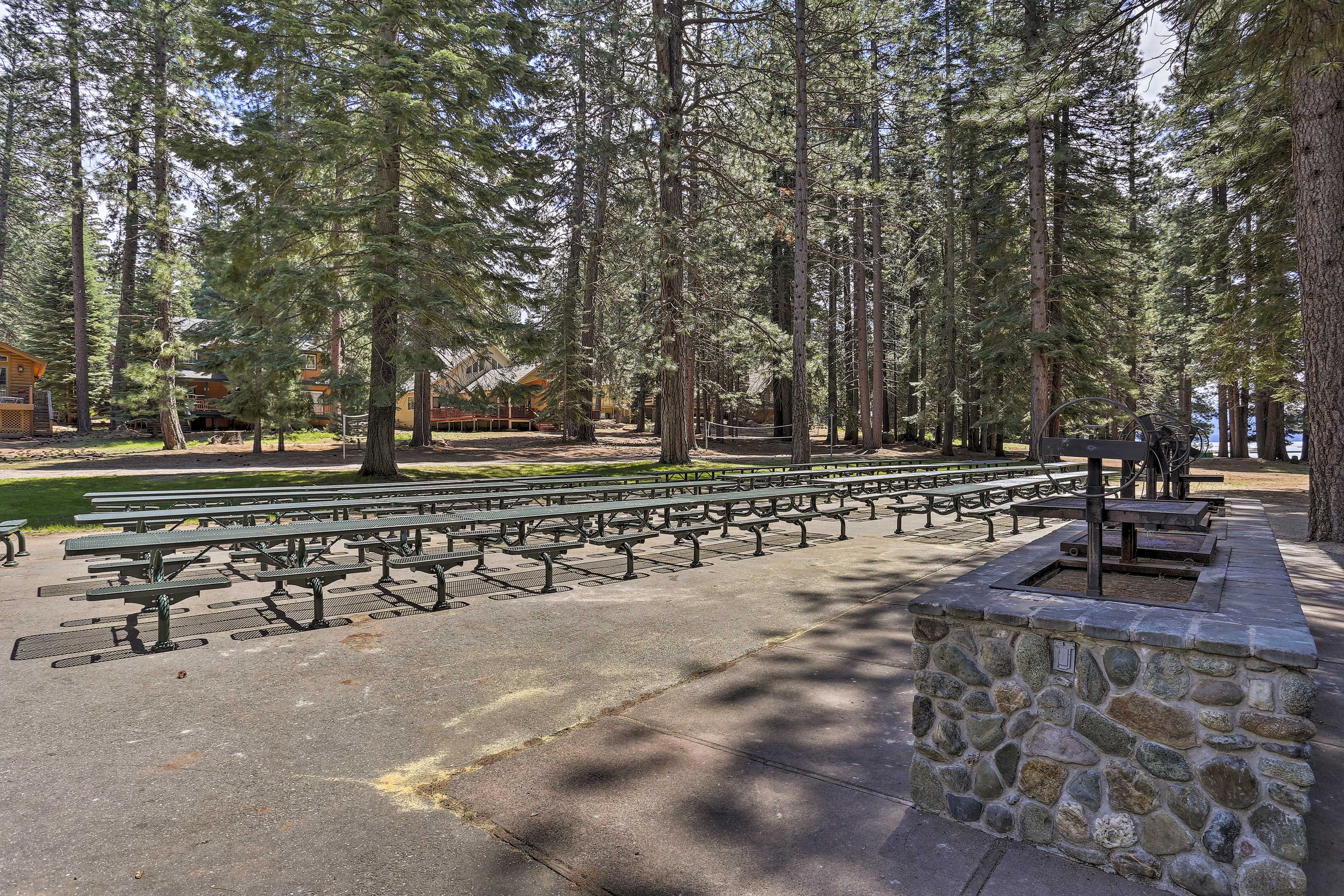 Image 35
