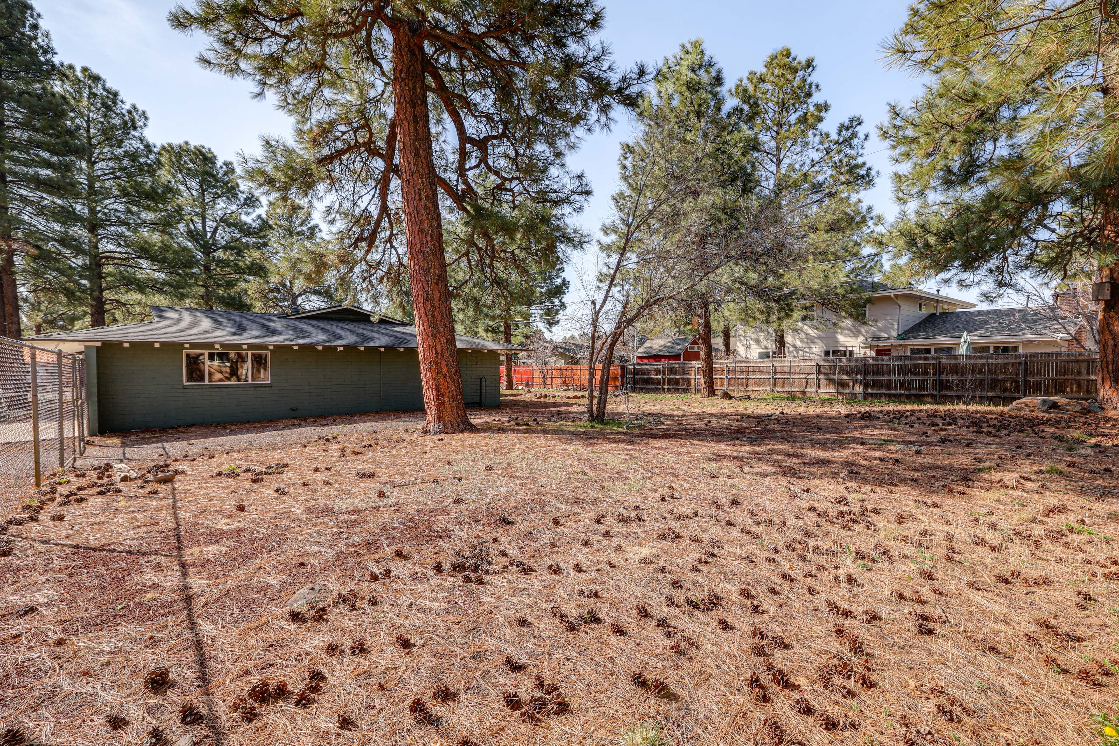 Fenced Backyard