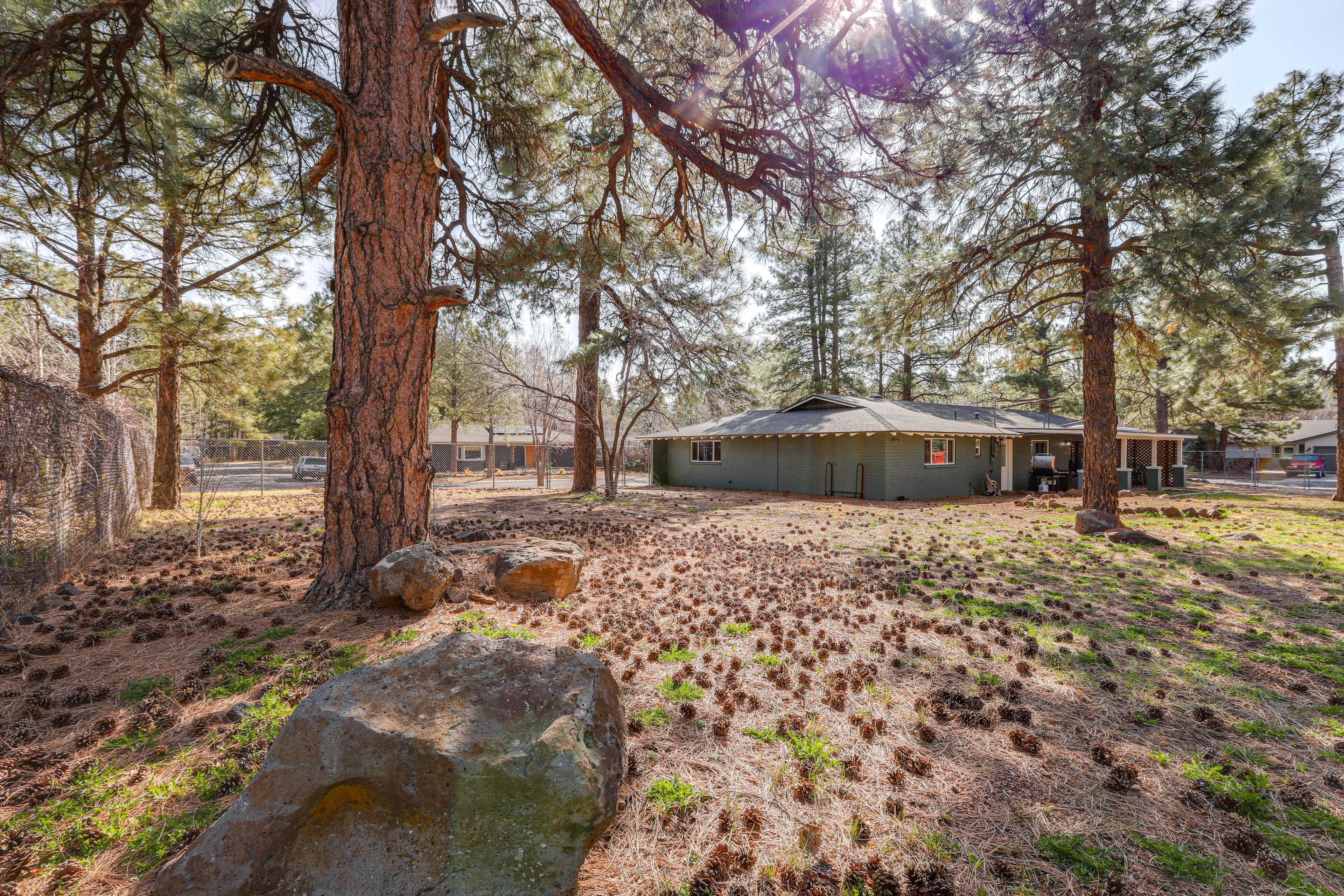 Fenced Backyard | Self Check-In | 15 Mi to Arizona Snowbowl