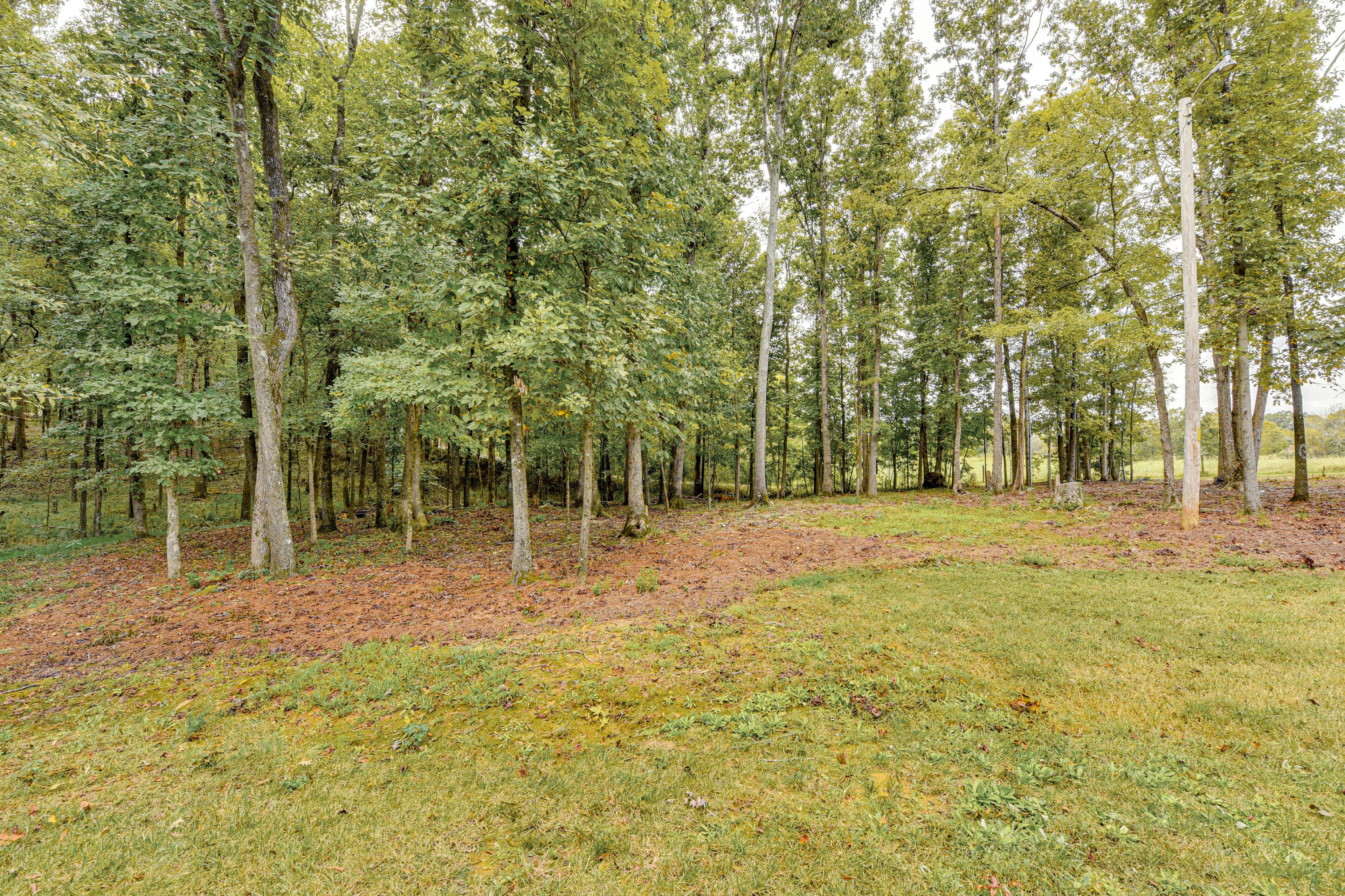 Private Backyard | Property Surroundings