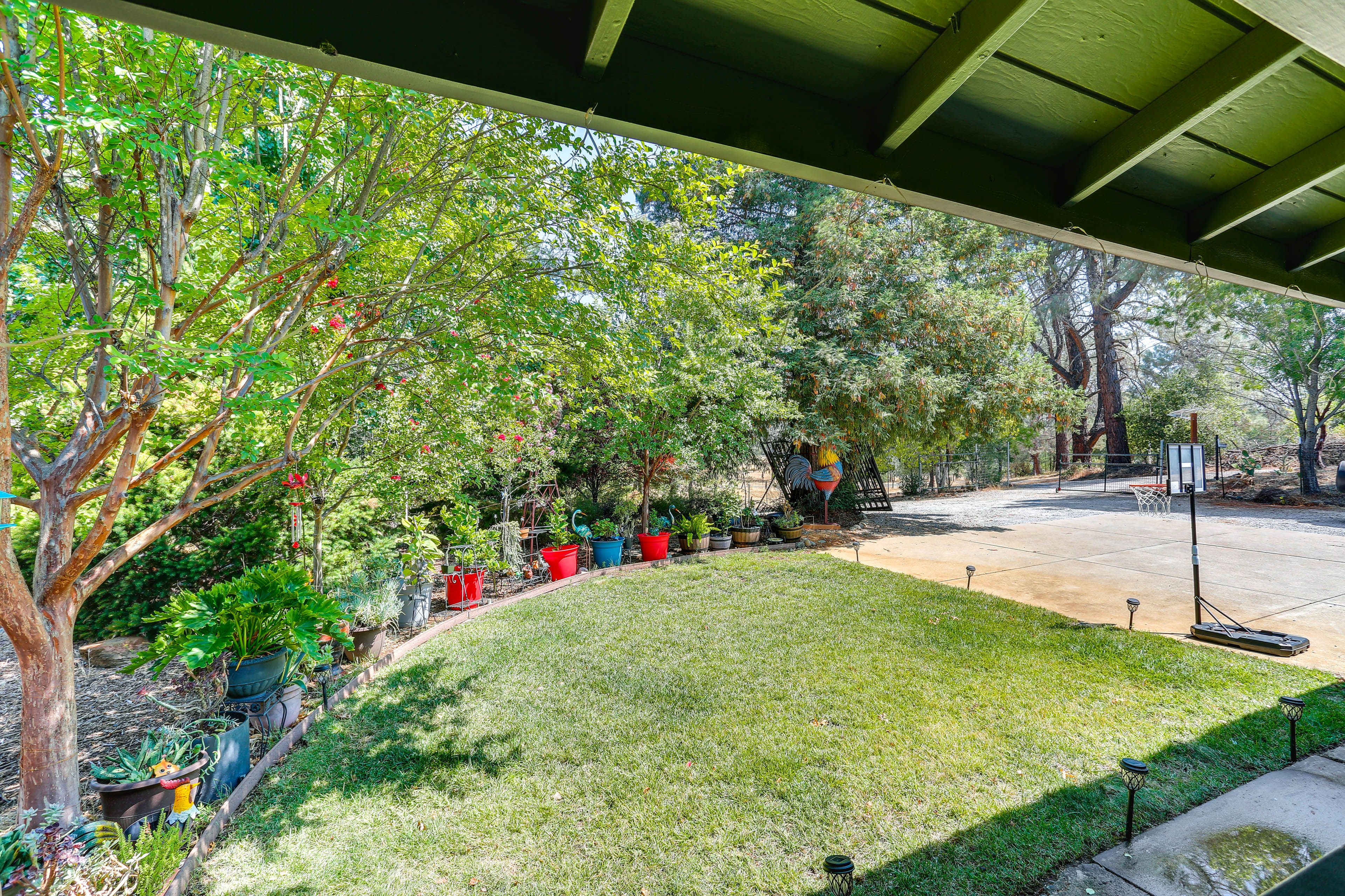 Front Yard