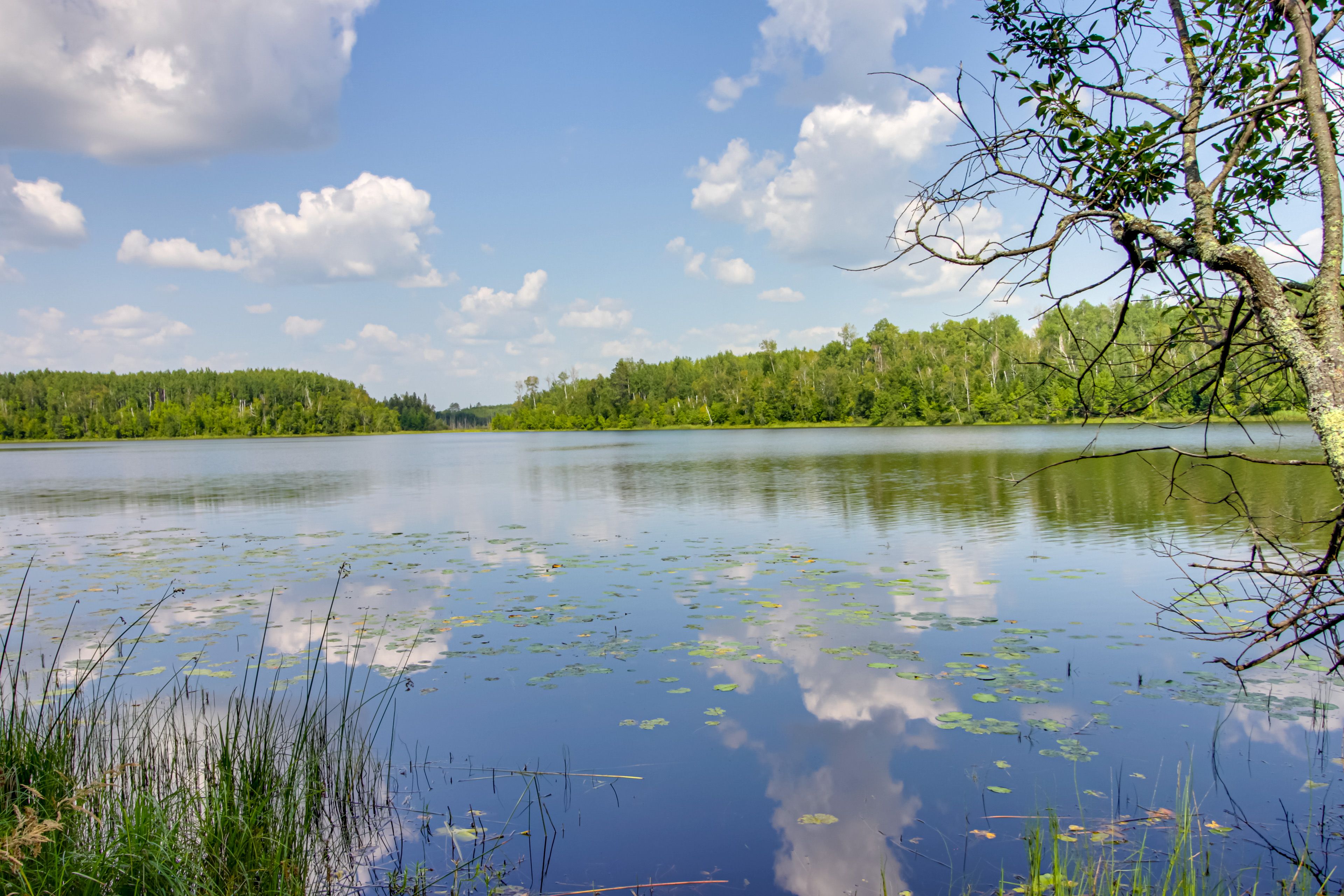 South Fork Lake Access